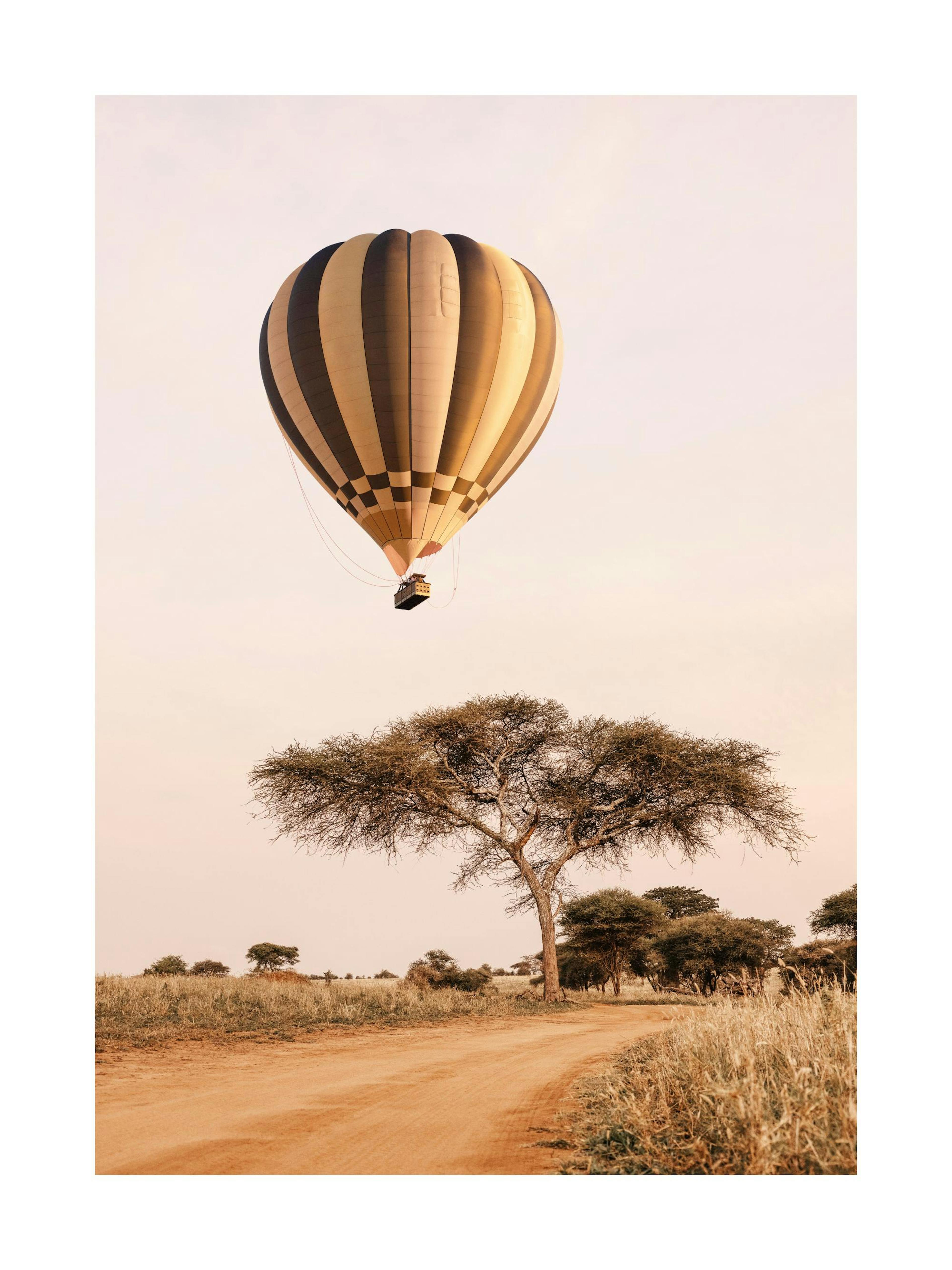 Balloon in Sunrise Poster