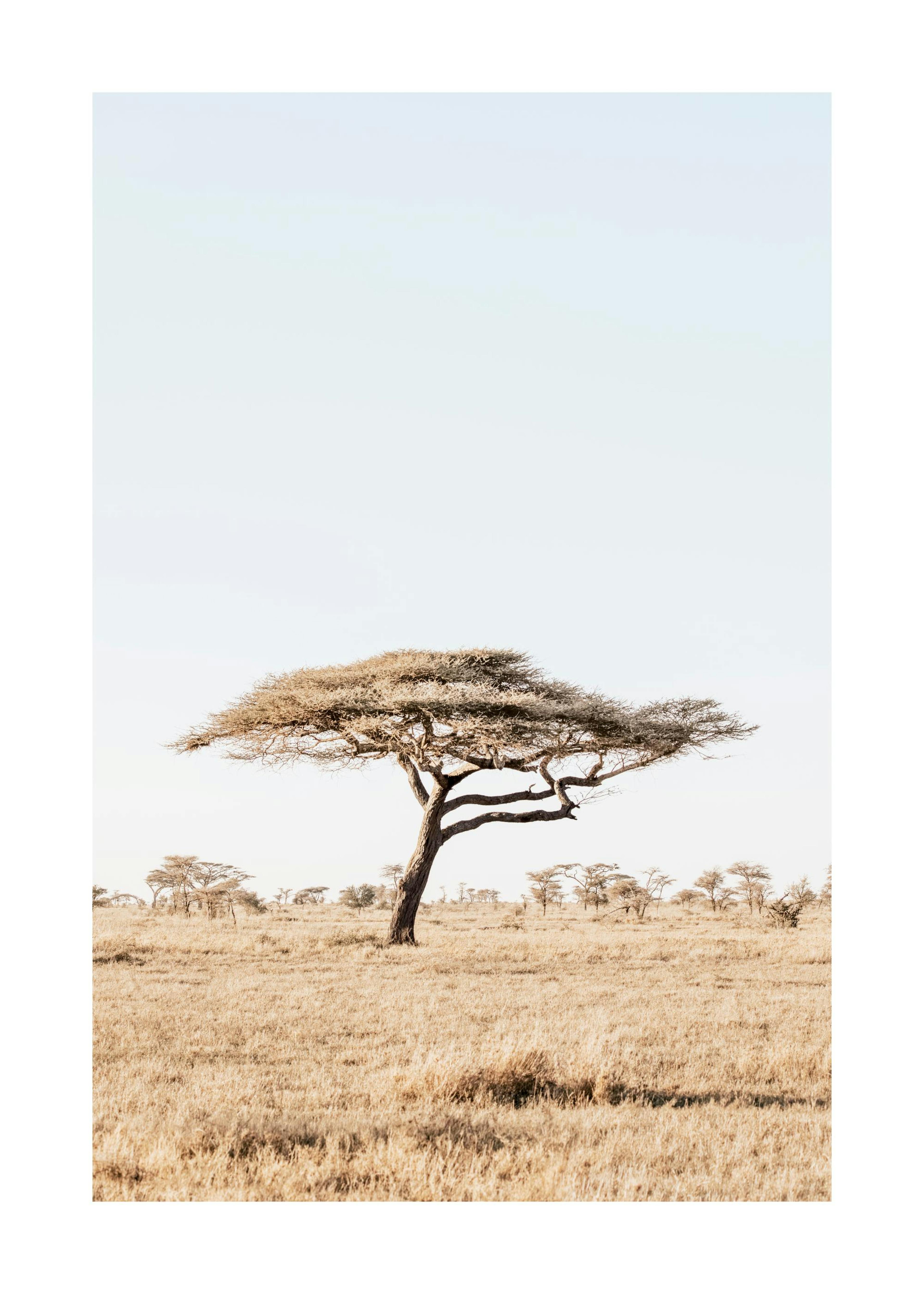 Calm Nature Print 0