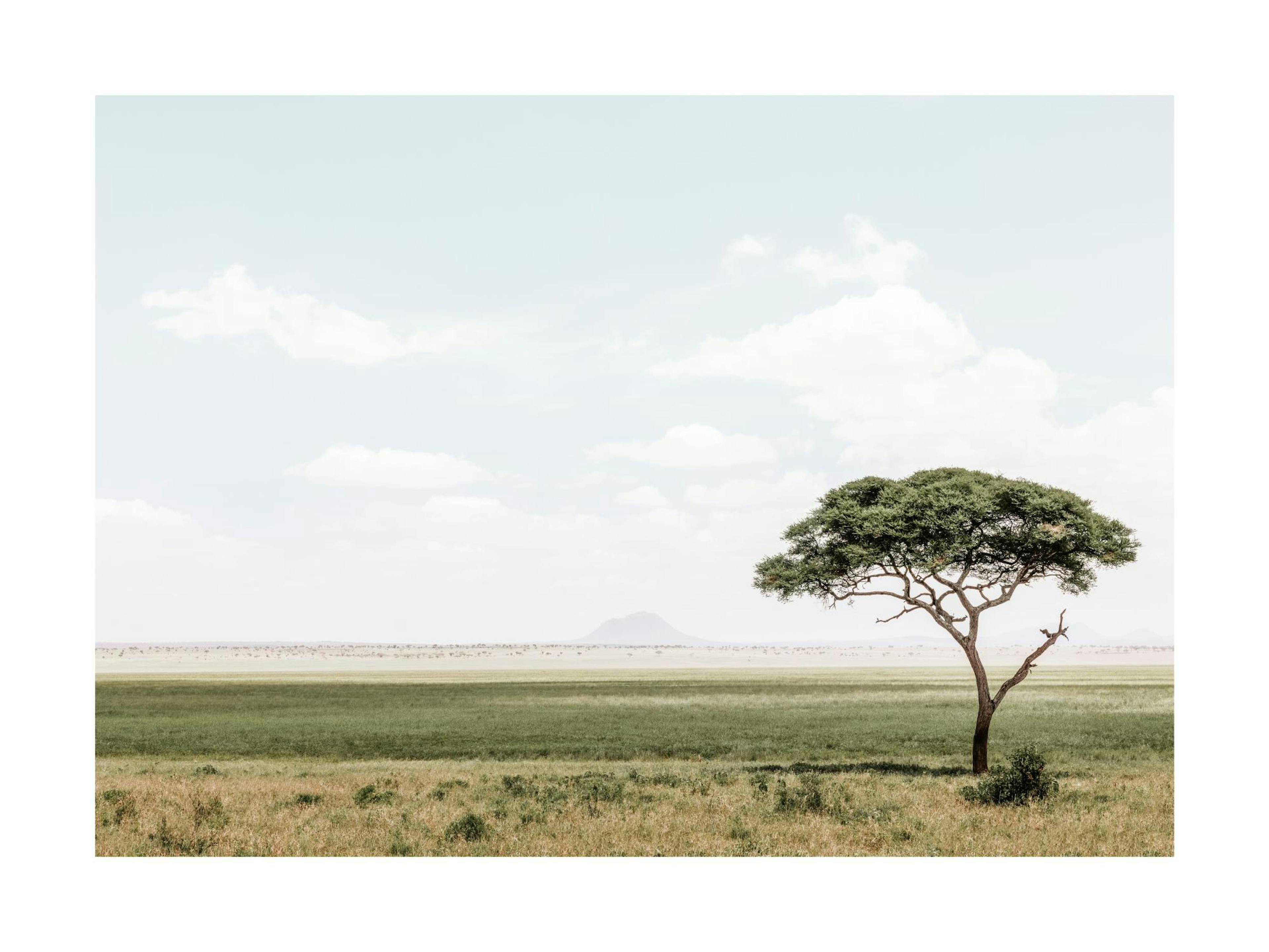 African Landscape​ Print