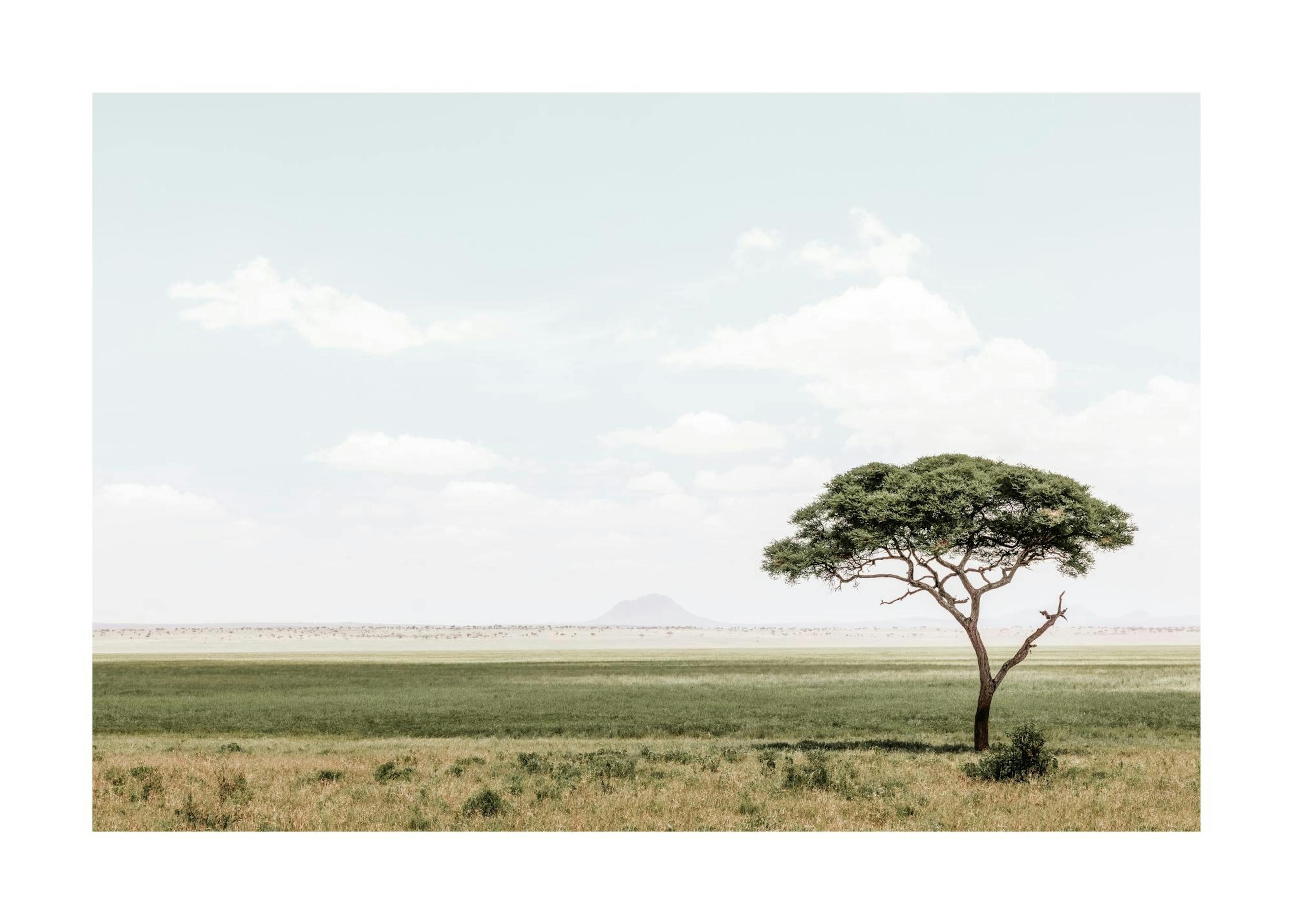 African Landscape​ Print 0