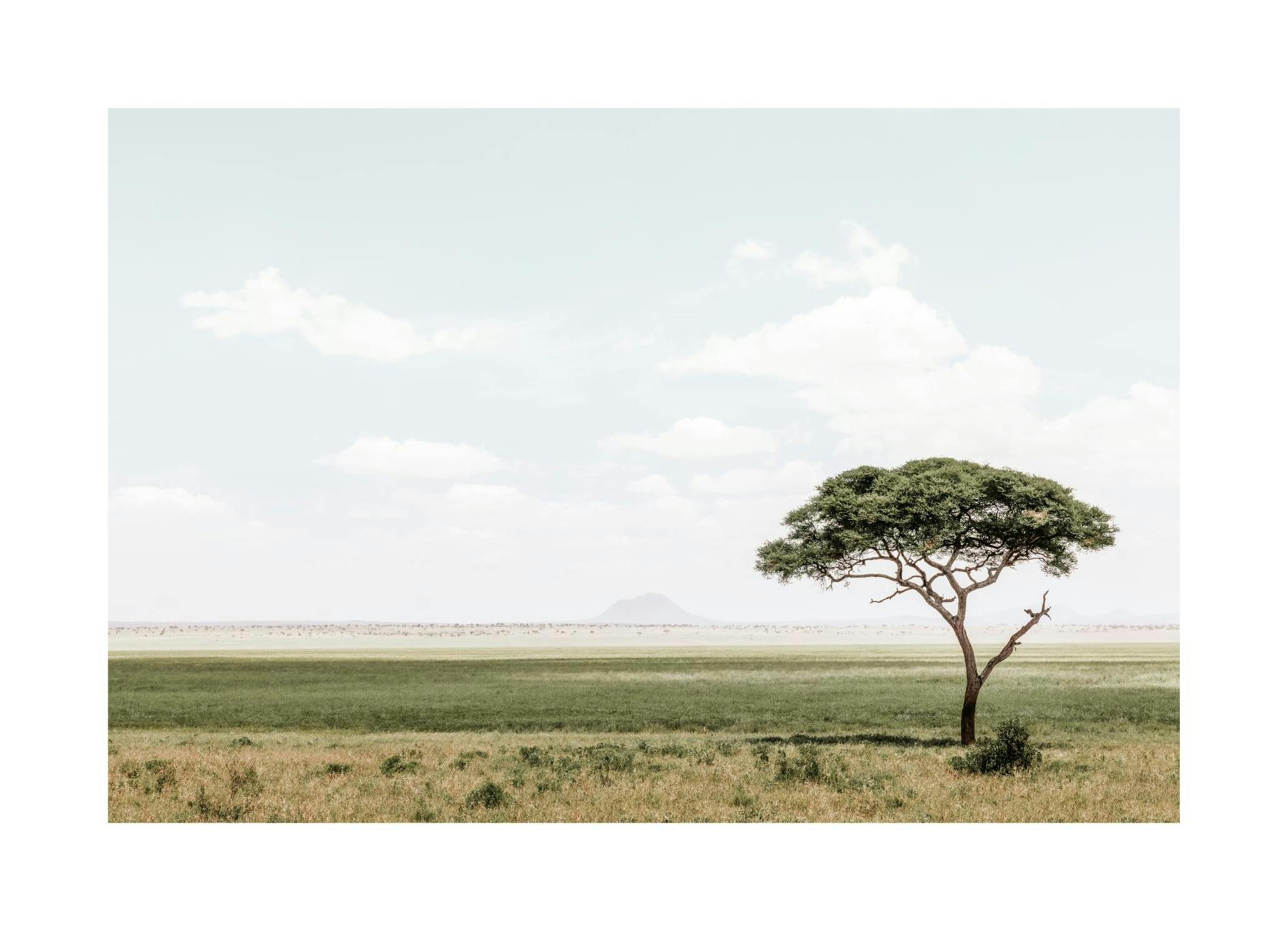 African Landscapeâ Poster (30x40 cm) - Studio Savanna