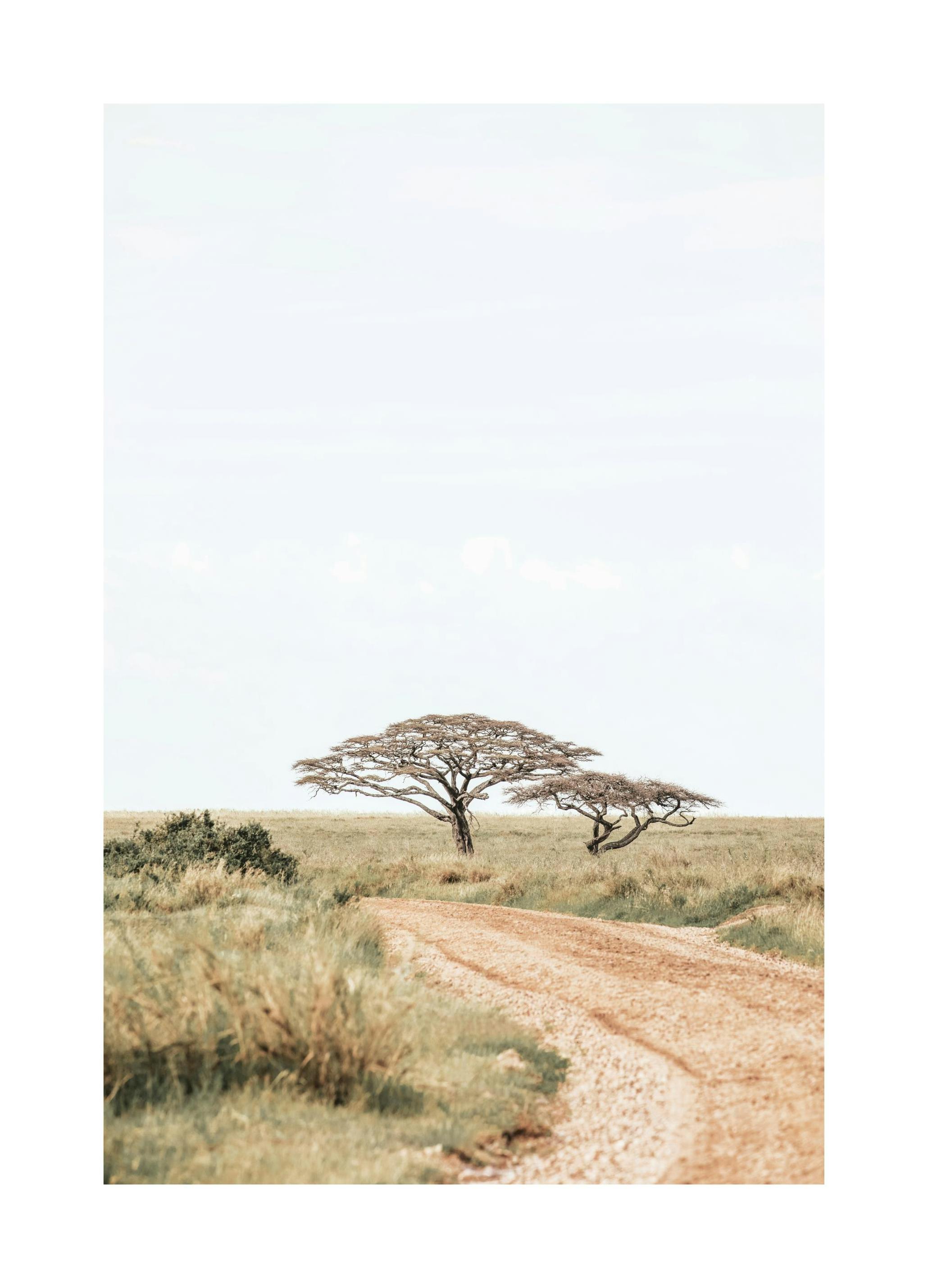 Prints - Road to Serengeti​ Print (50x70 cm) - Studio Savanna