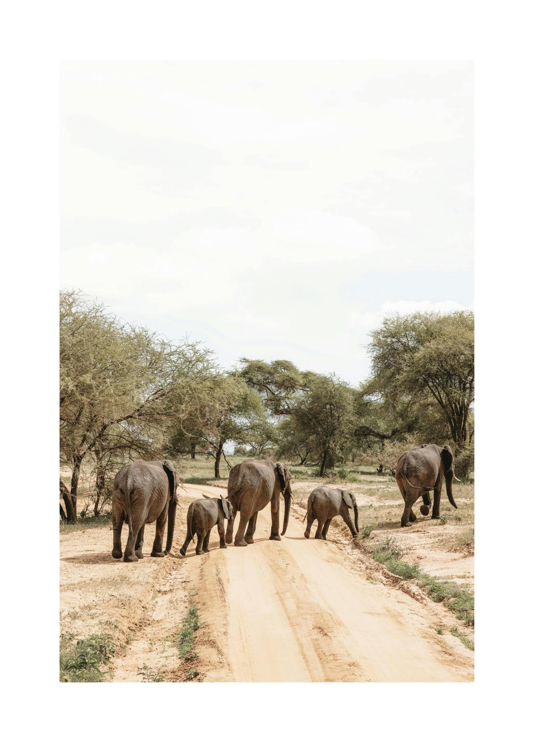 An Elephantâs Journeyâ Poster (50x70 cm) - Studio Savanna