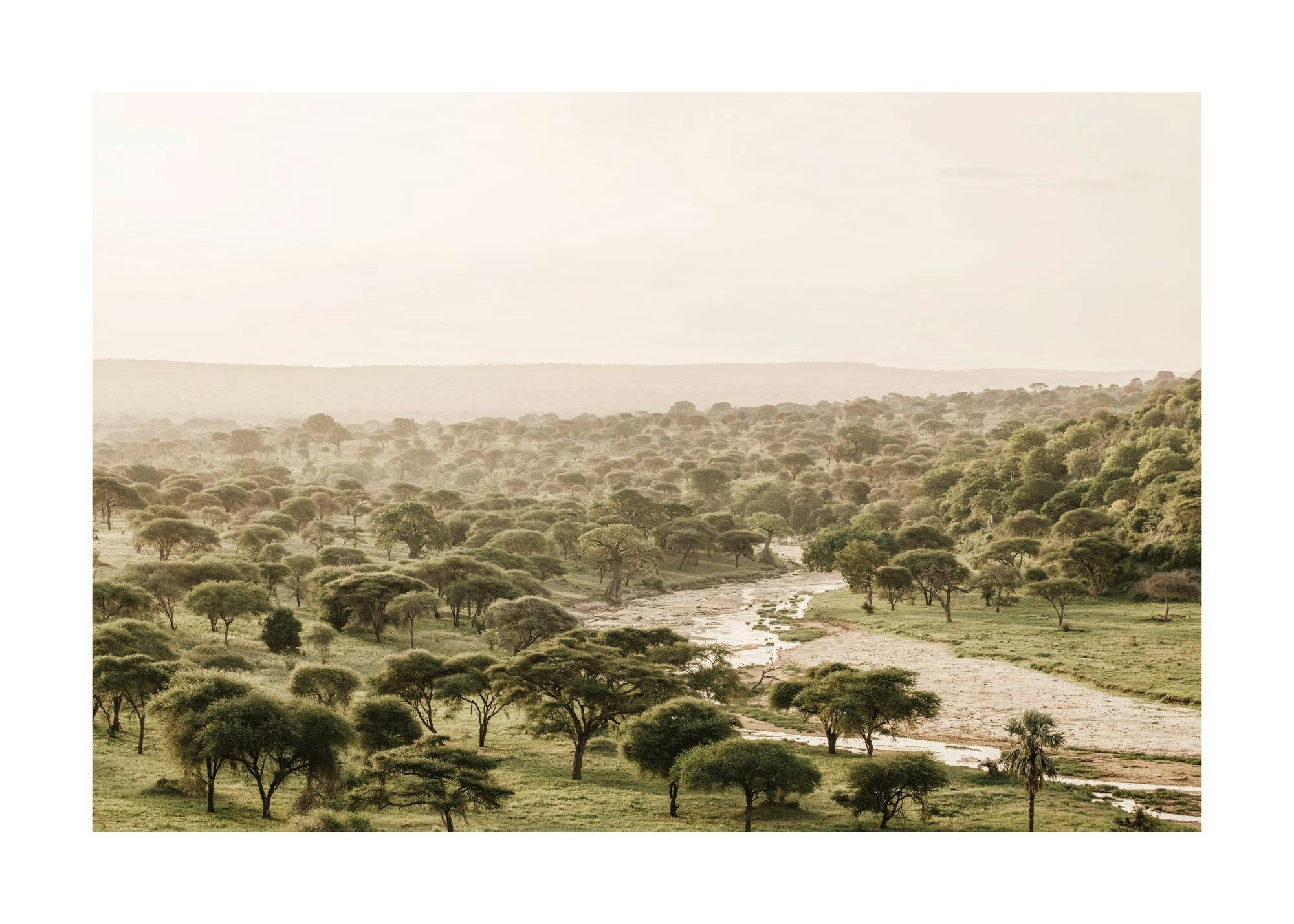 African Wilderness Print 0