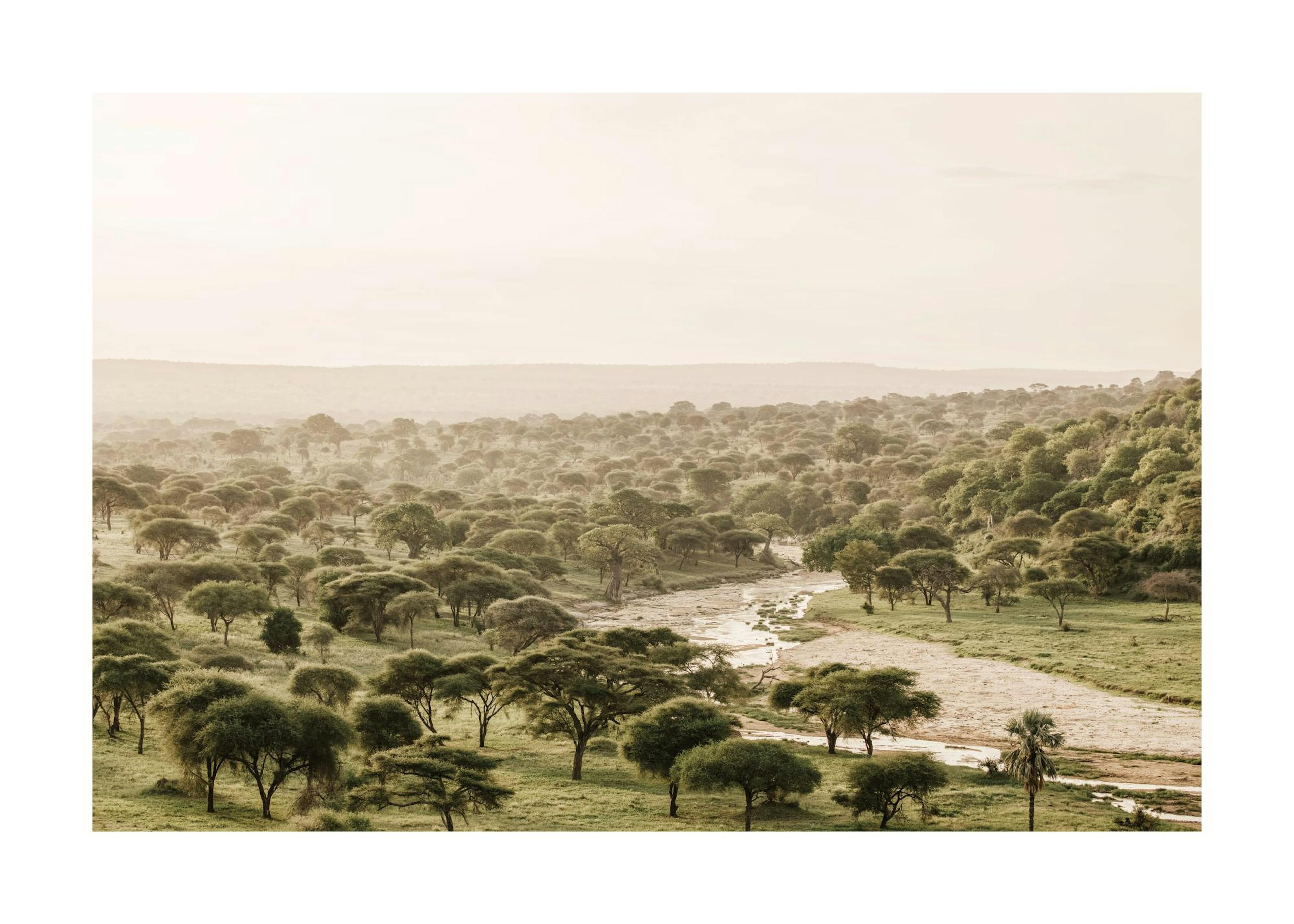 African Wilderness Print 0