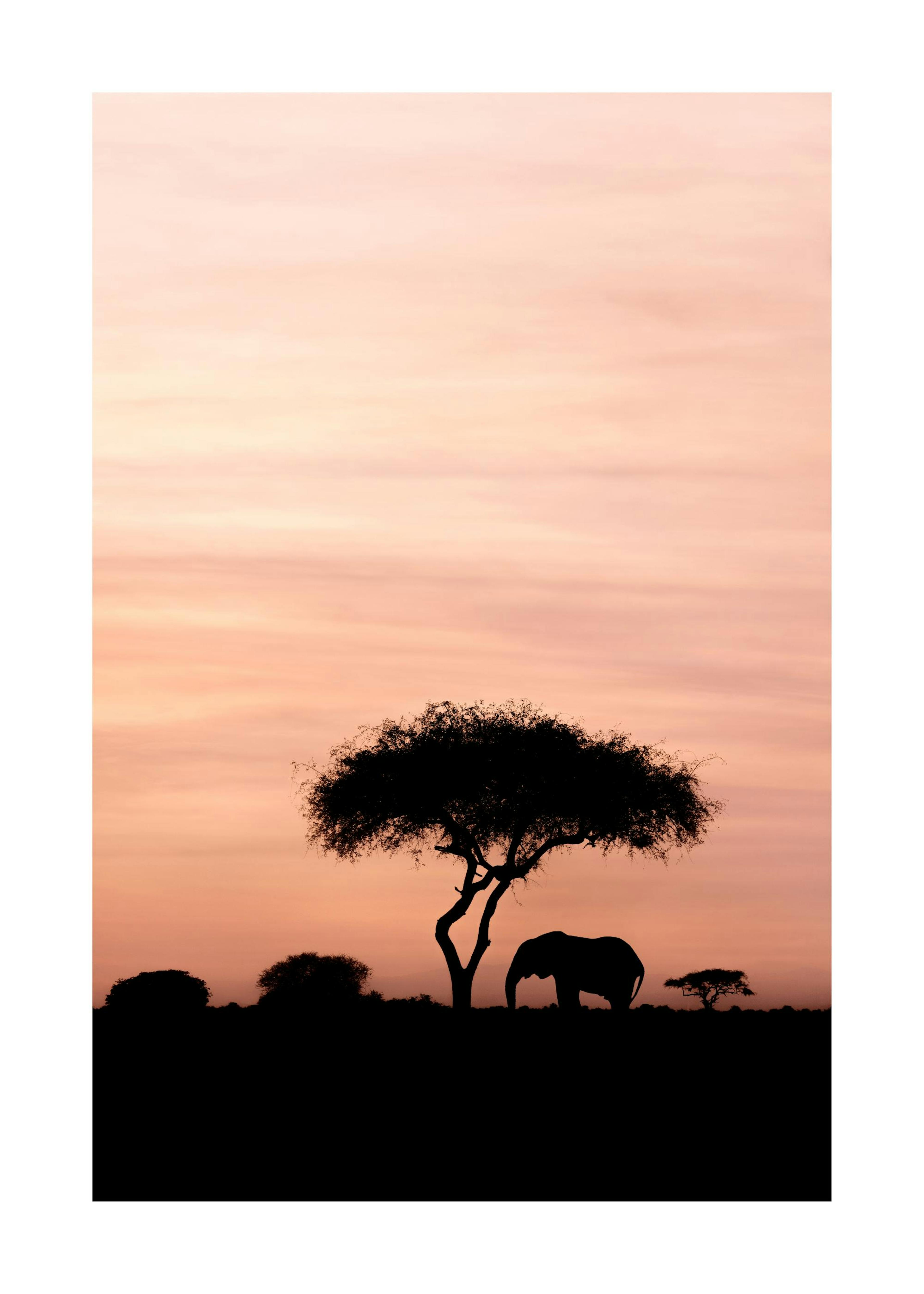 Dazzling Sunset Print 0