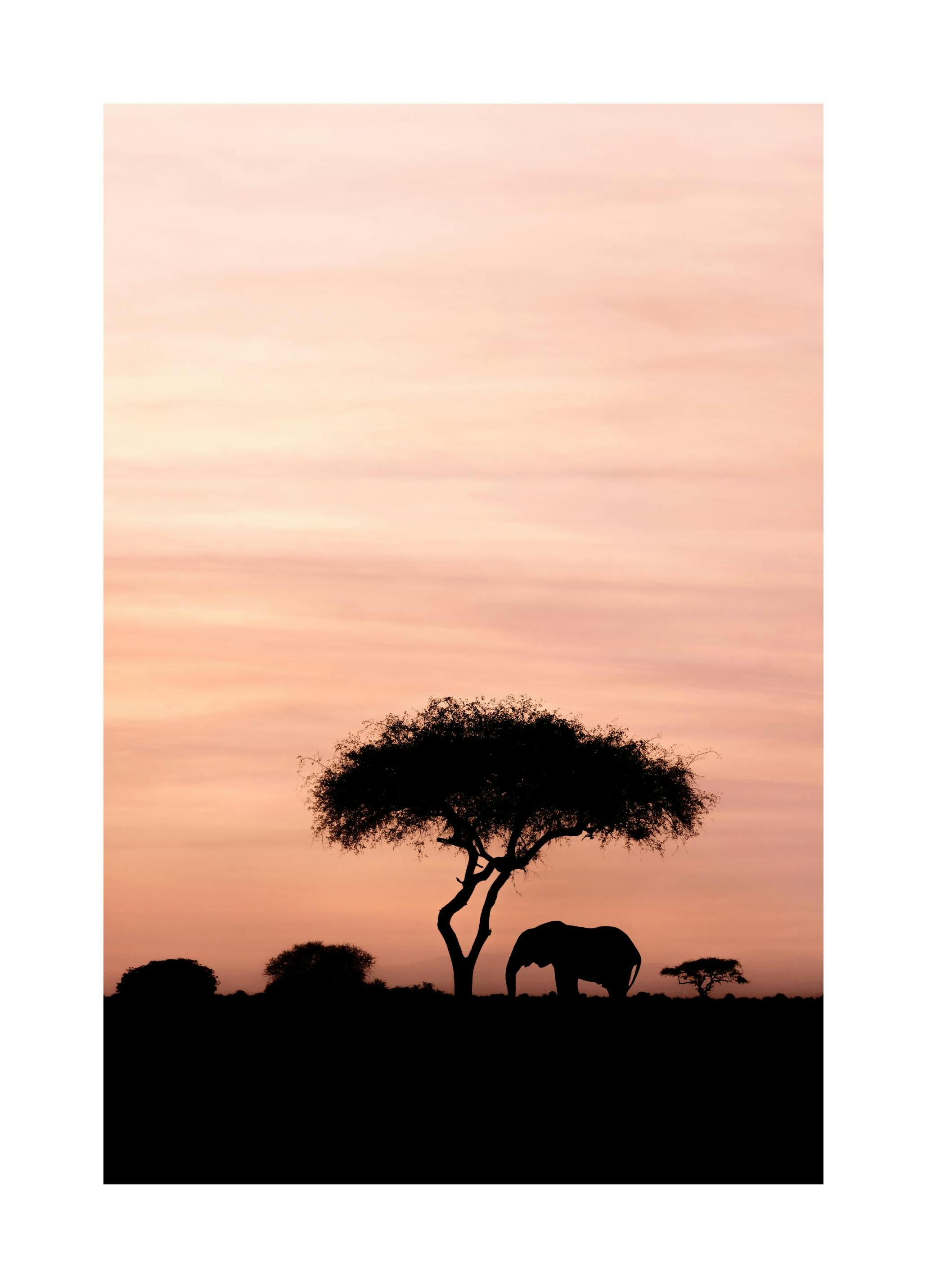 Dazzling Sunset Poster (30x40 cm) - Studio Savanna