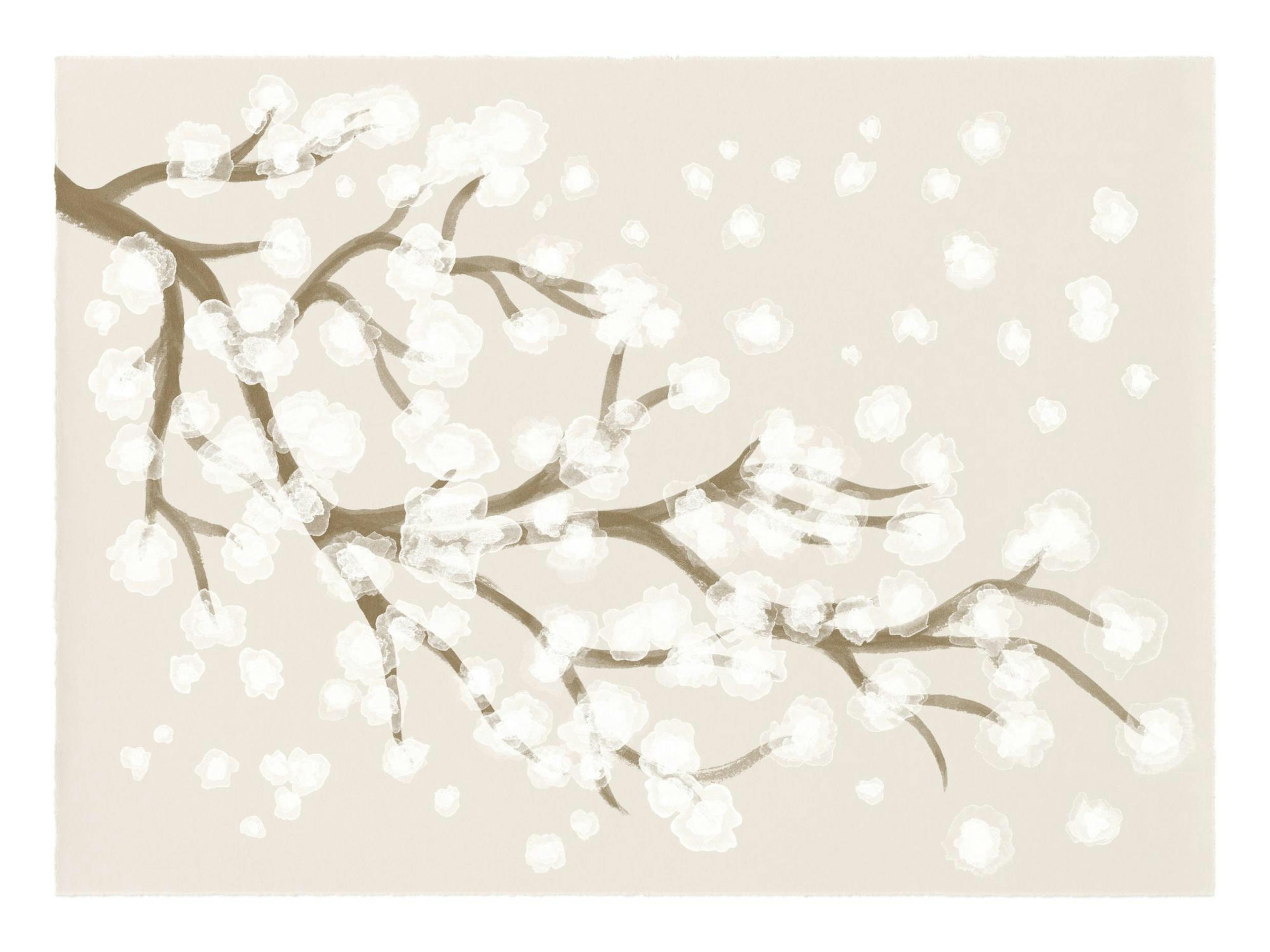 Japandi Cherry Blossom Print 0