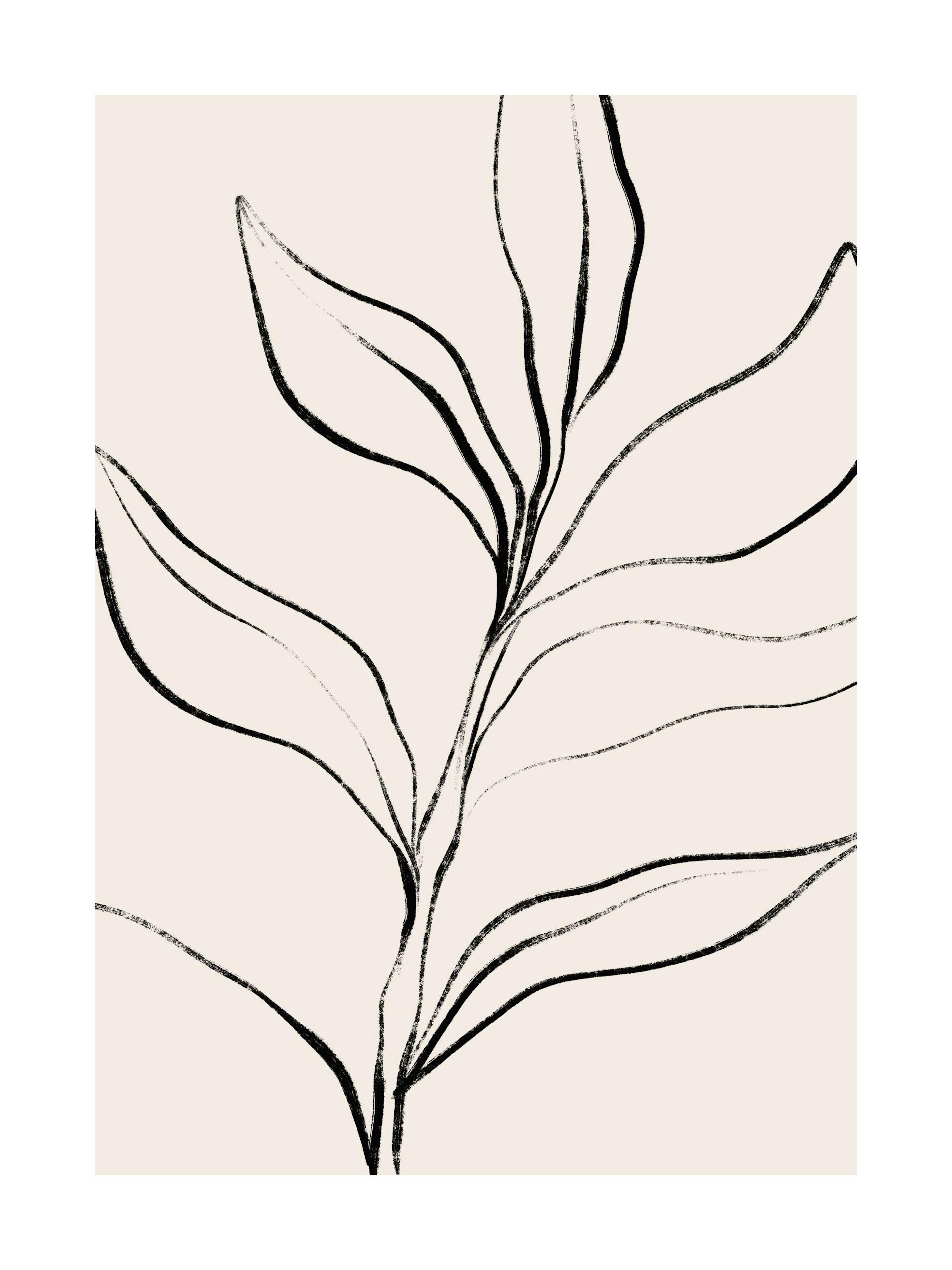 Botanical Lines Affiche