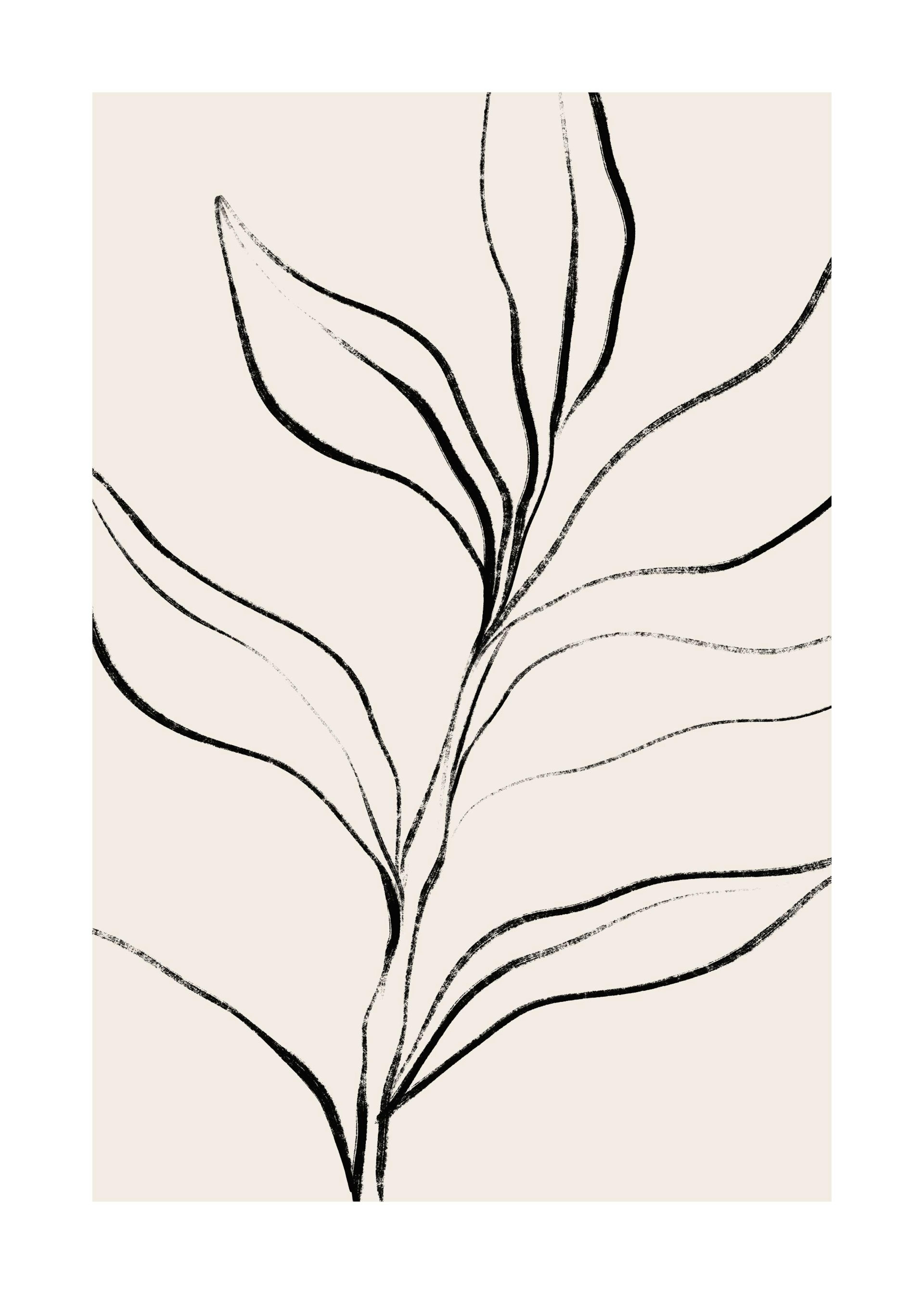 Botanical Lines Print 0