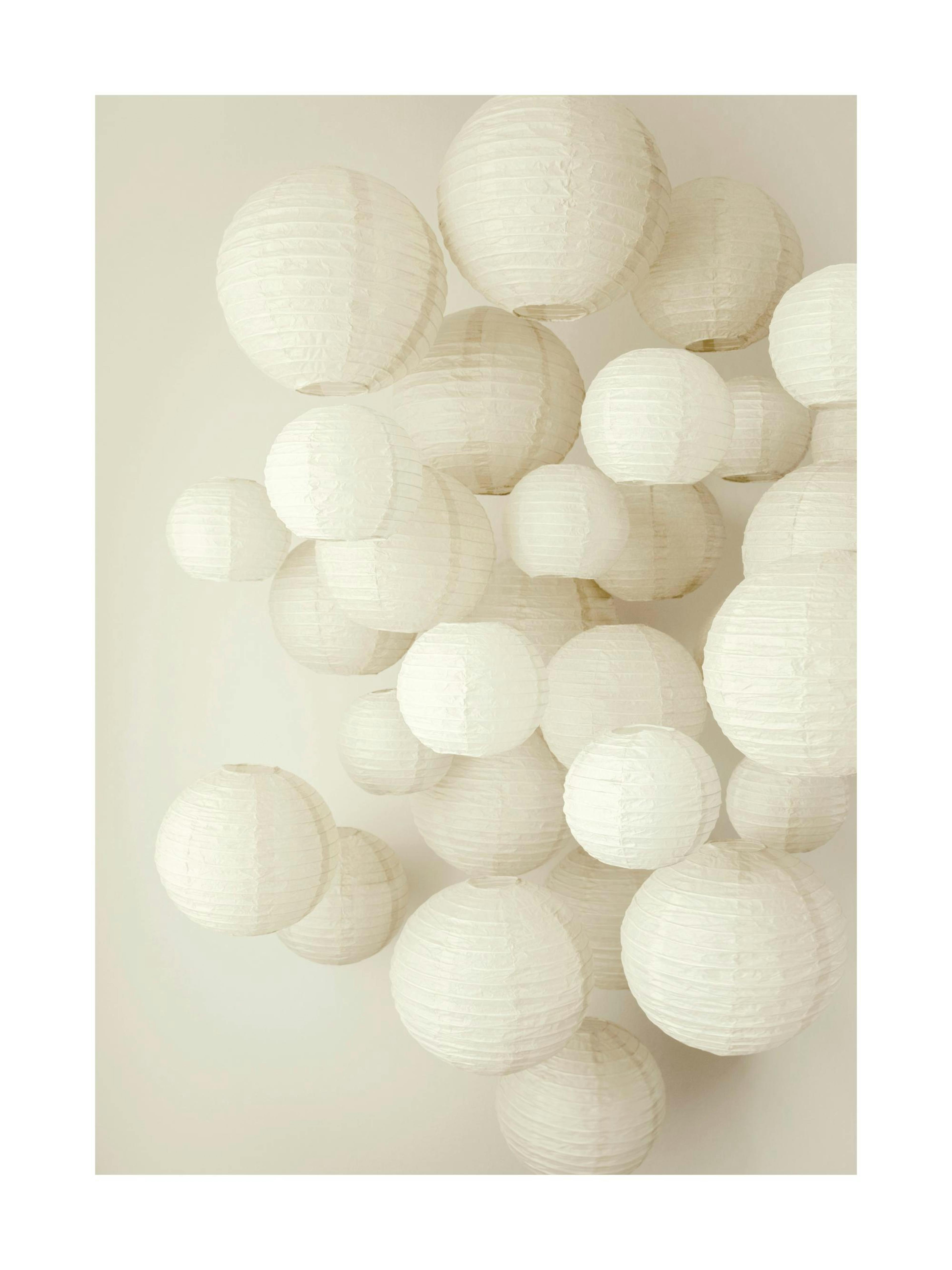 Rice Paper Ornaments Print 0
