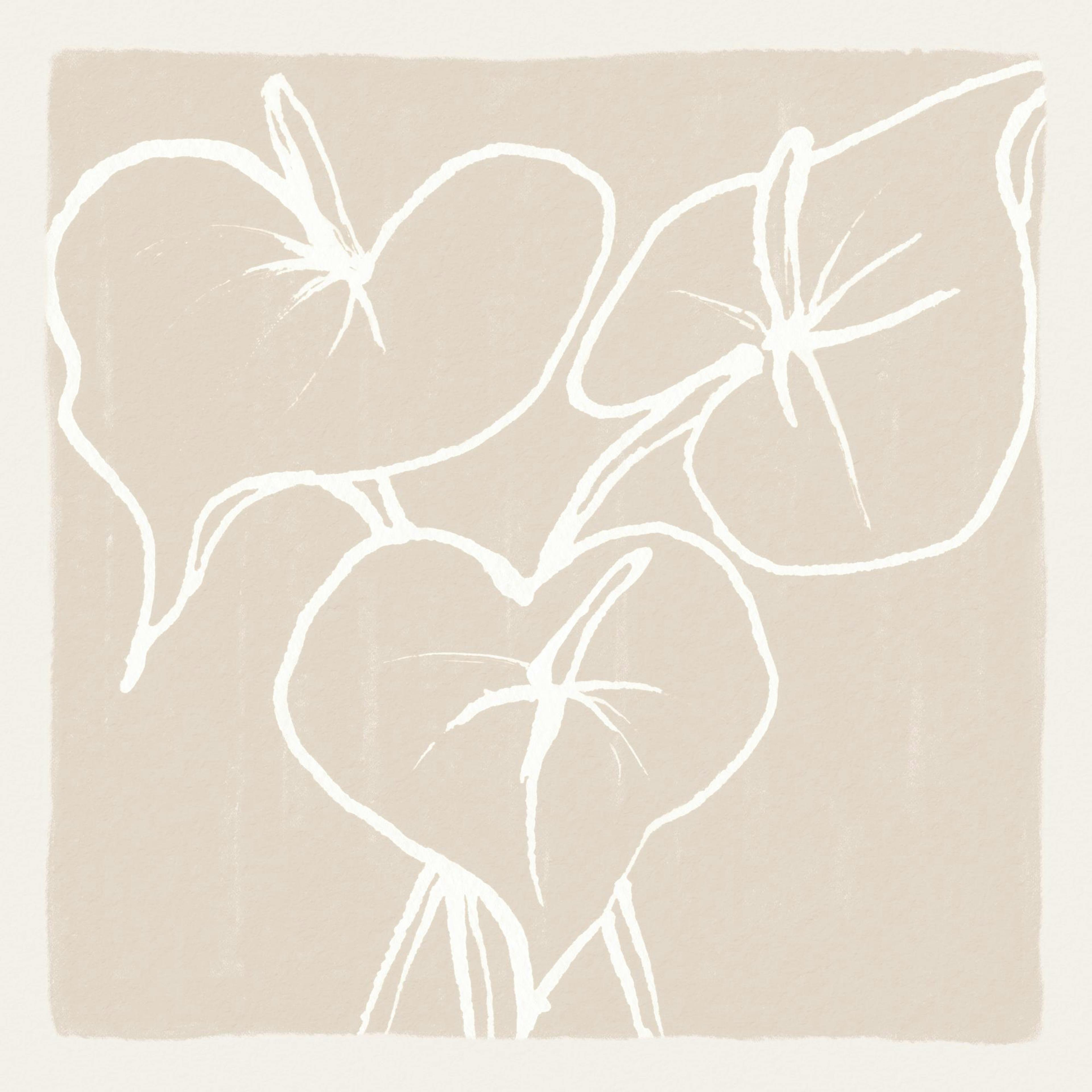 Anthurium Lines Print