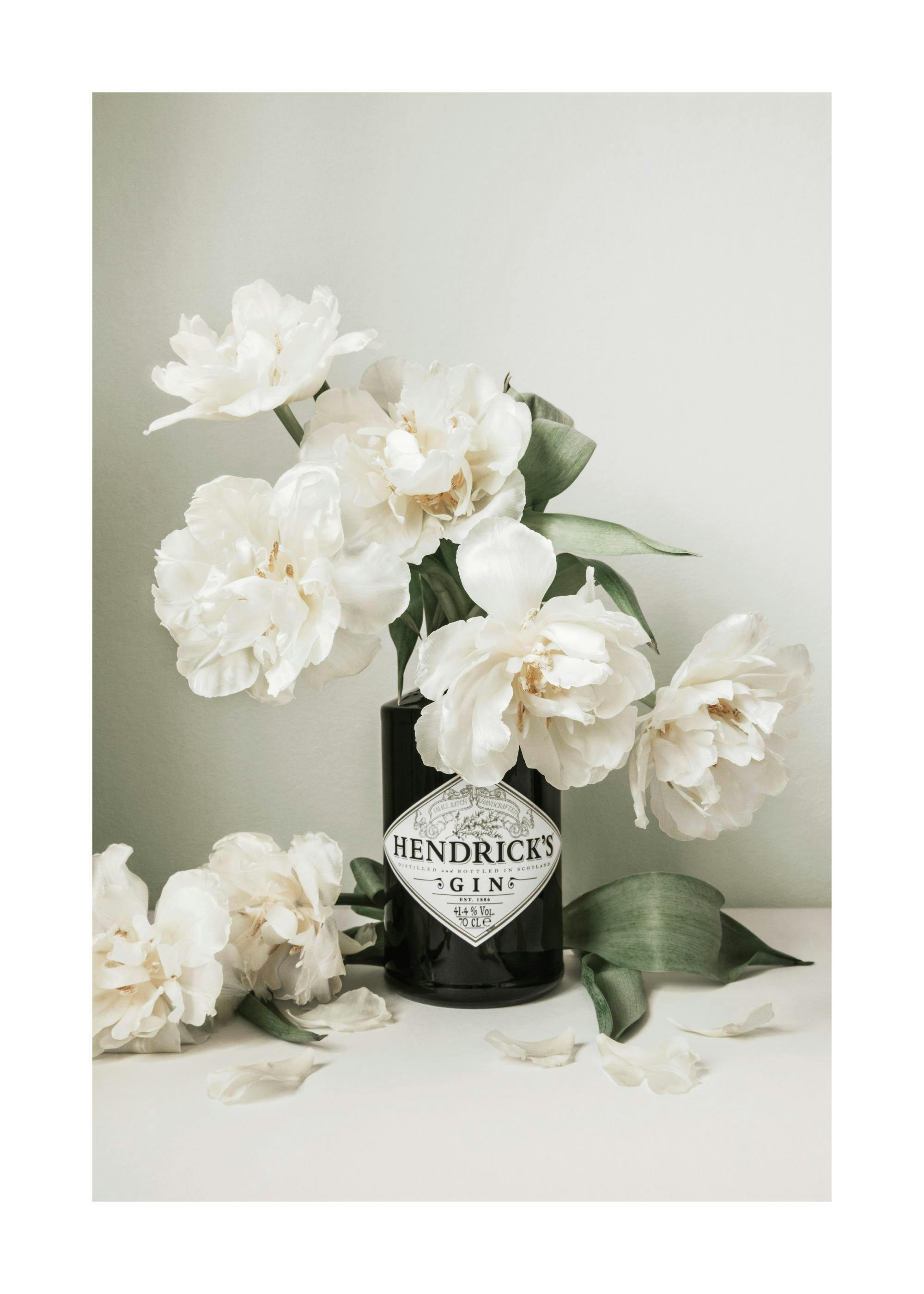 Flowers and Gin Print 0