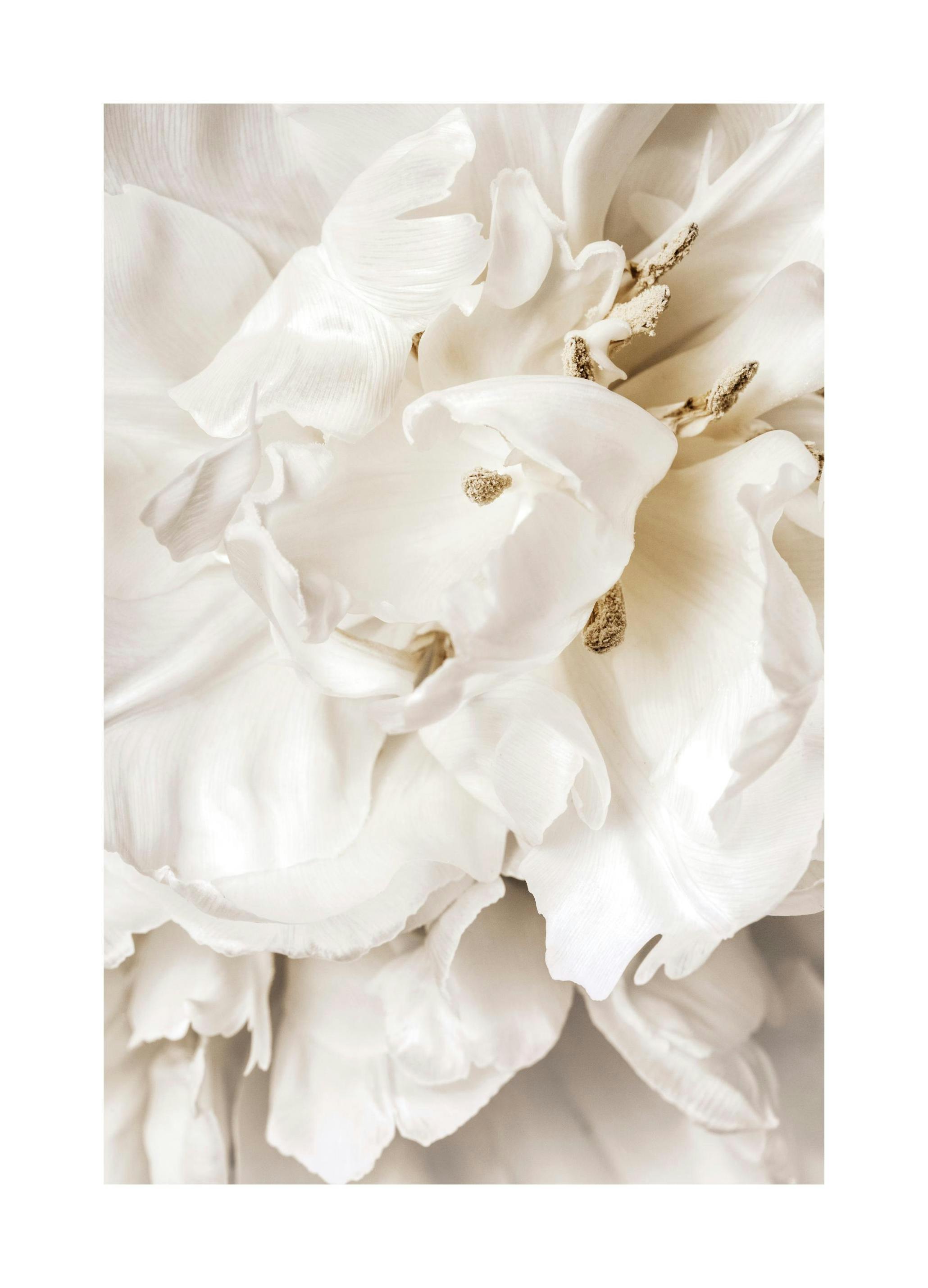Prints - Dreamy Flower Close up Print (30x40 cm) - Floral prints