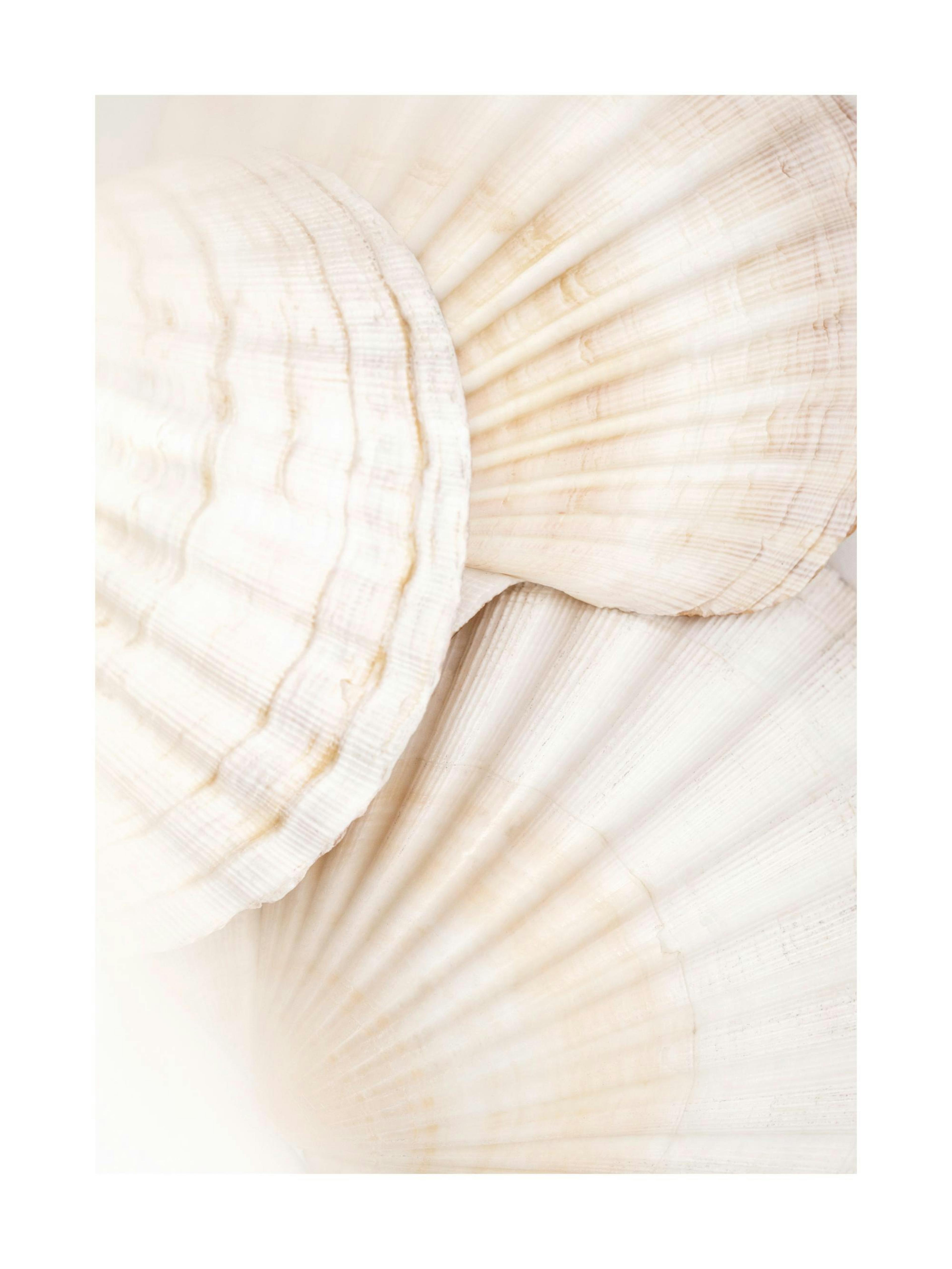 Product image: 1