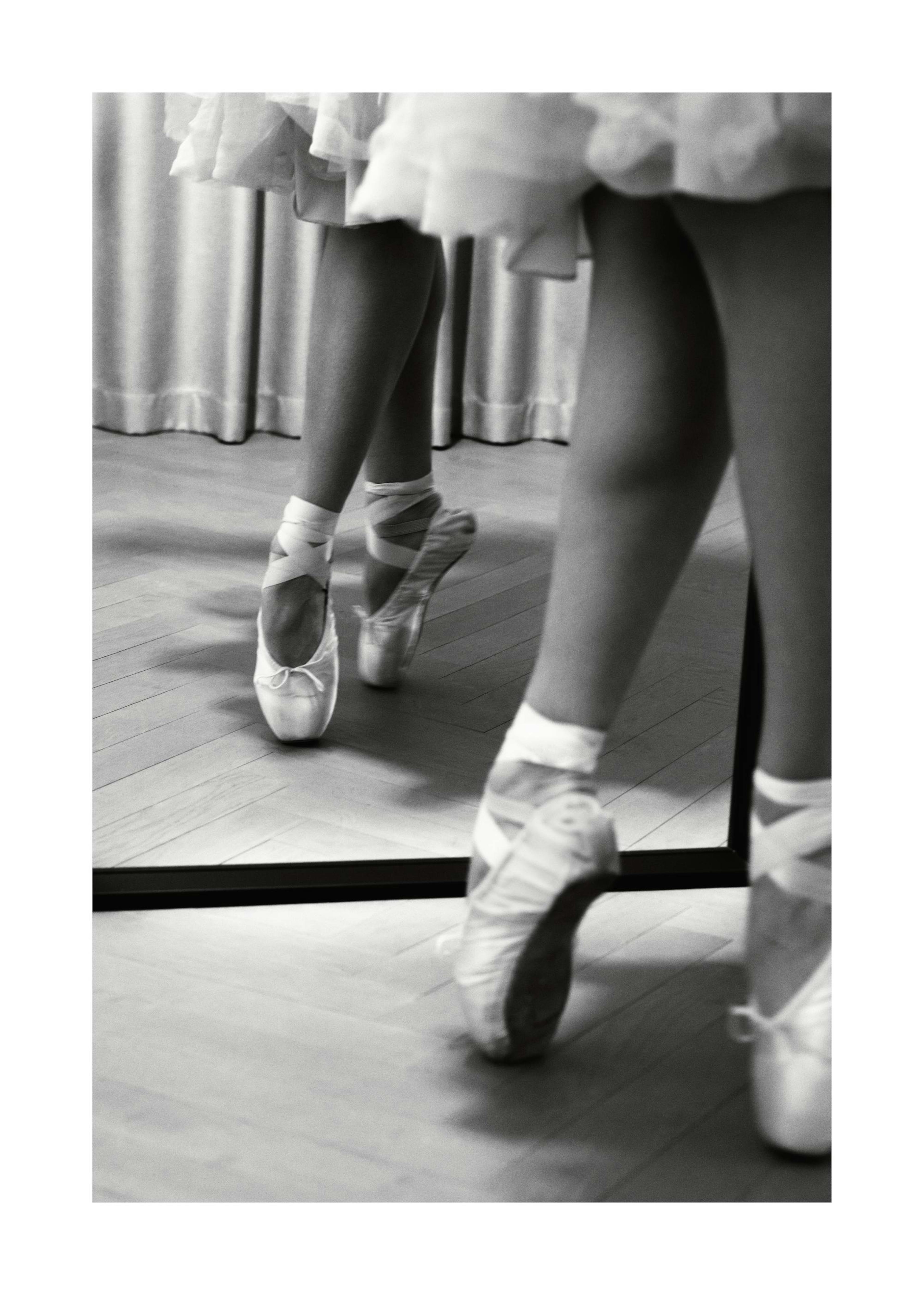 Ballet Steps Poster 0