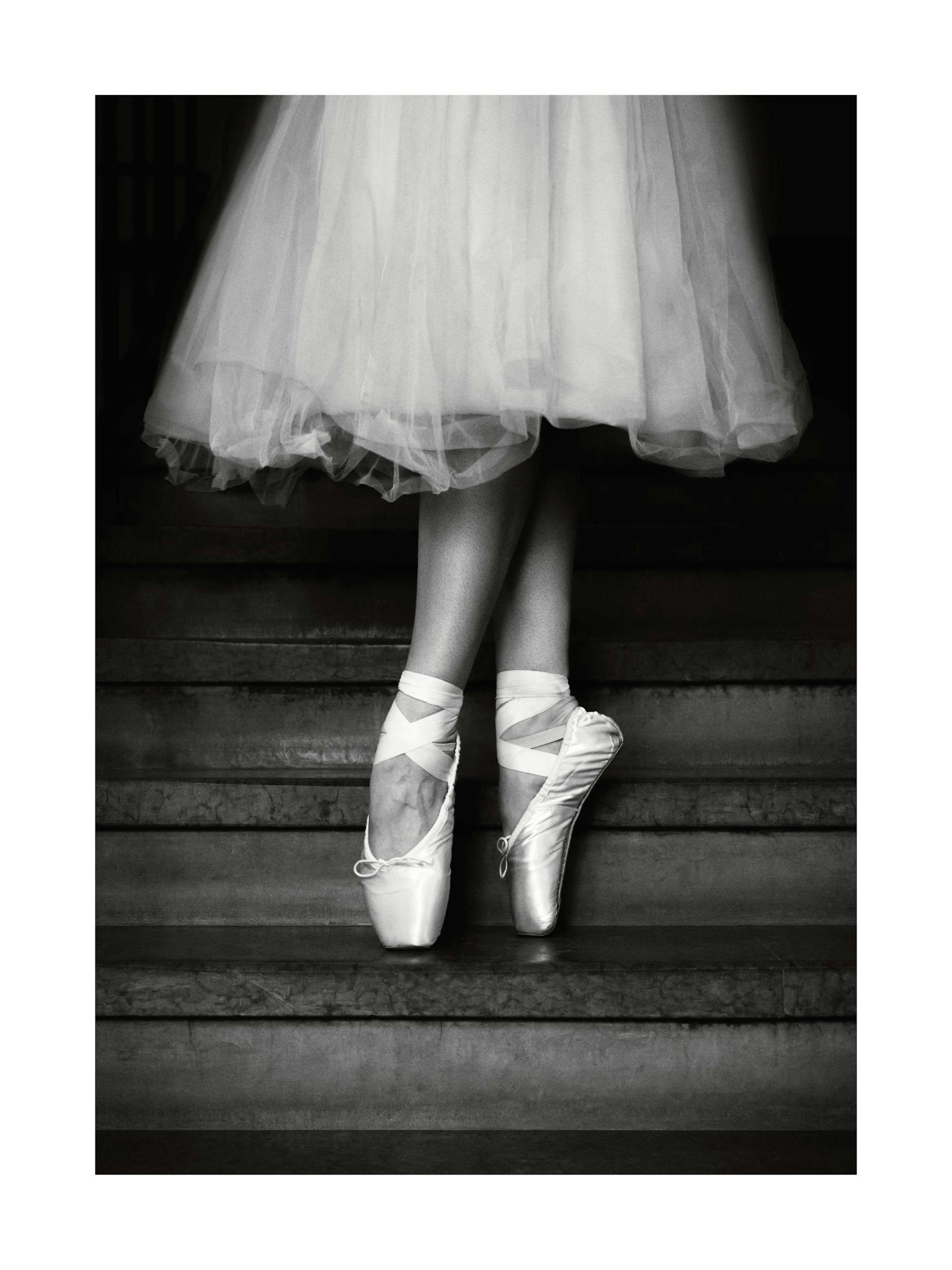 Ballet Shoes Poster