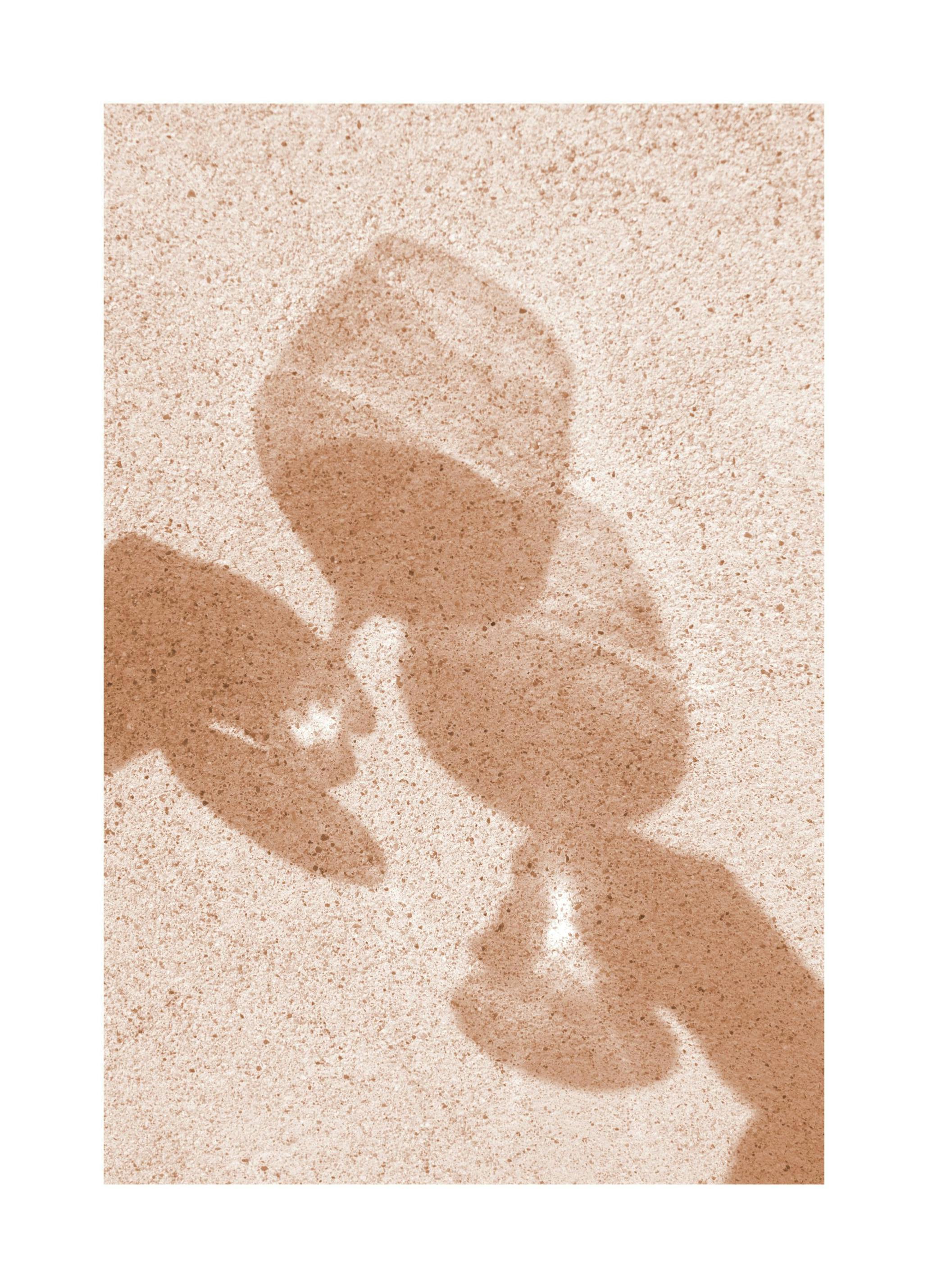 Let's Toast Poster (50x70 cm) -  Fotografien
