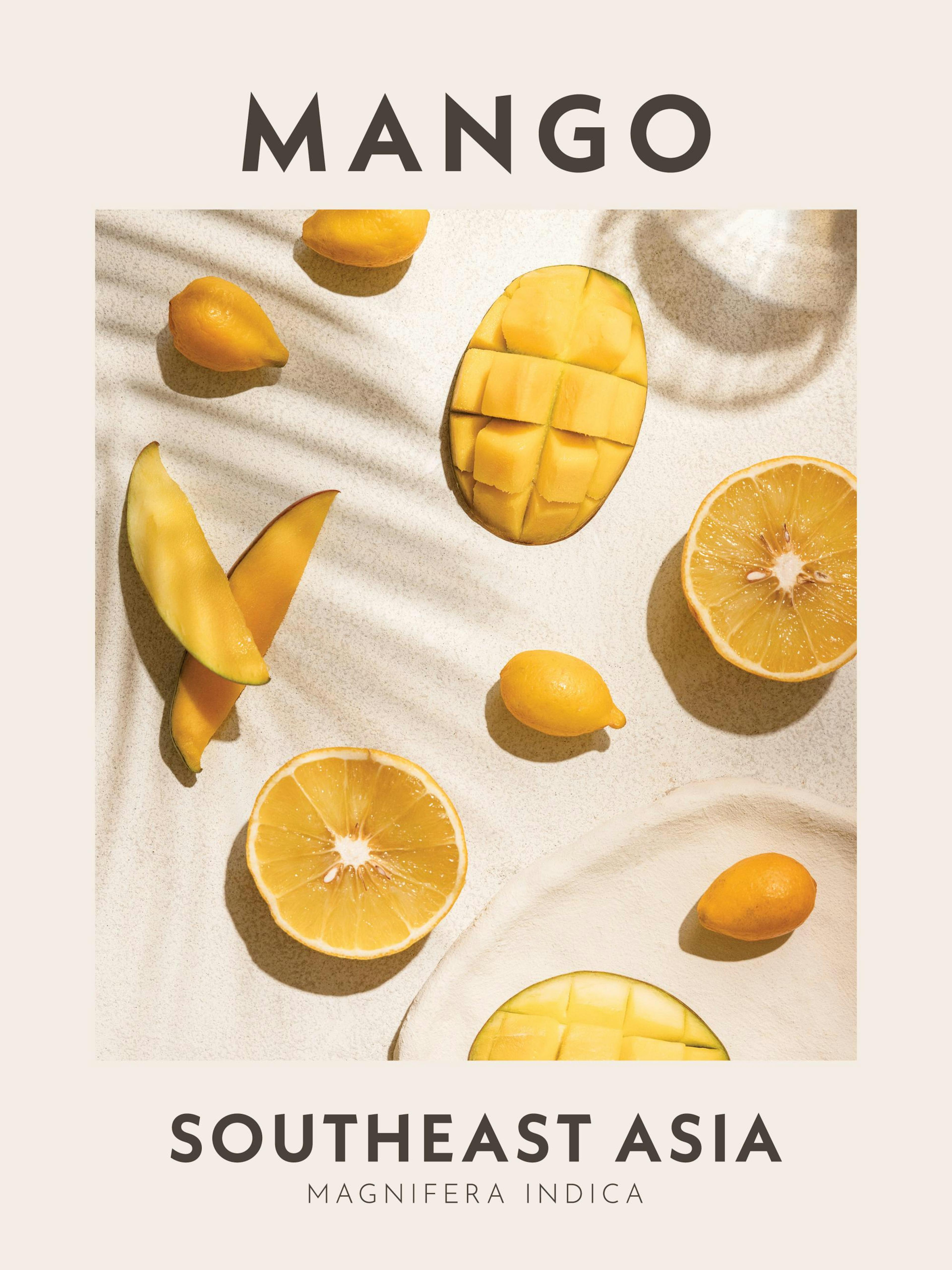 Mango Print