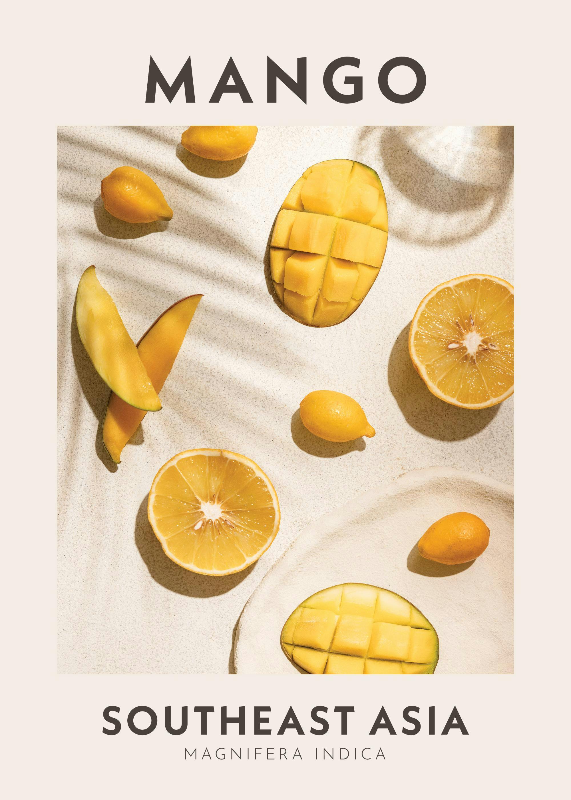 Mango Print 0