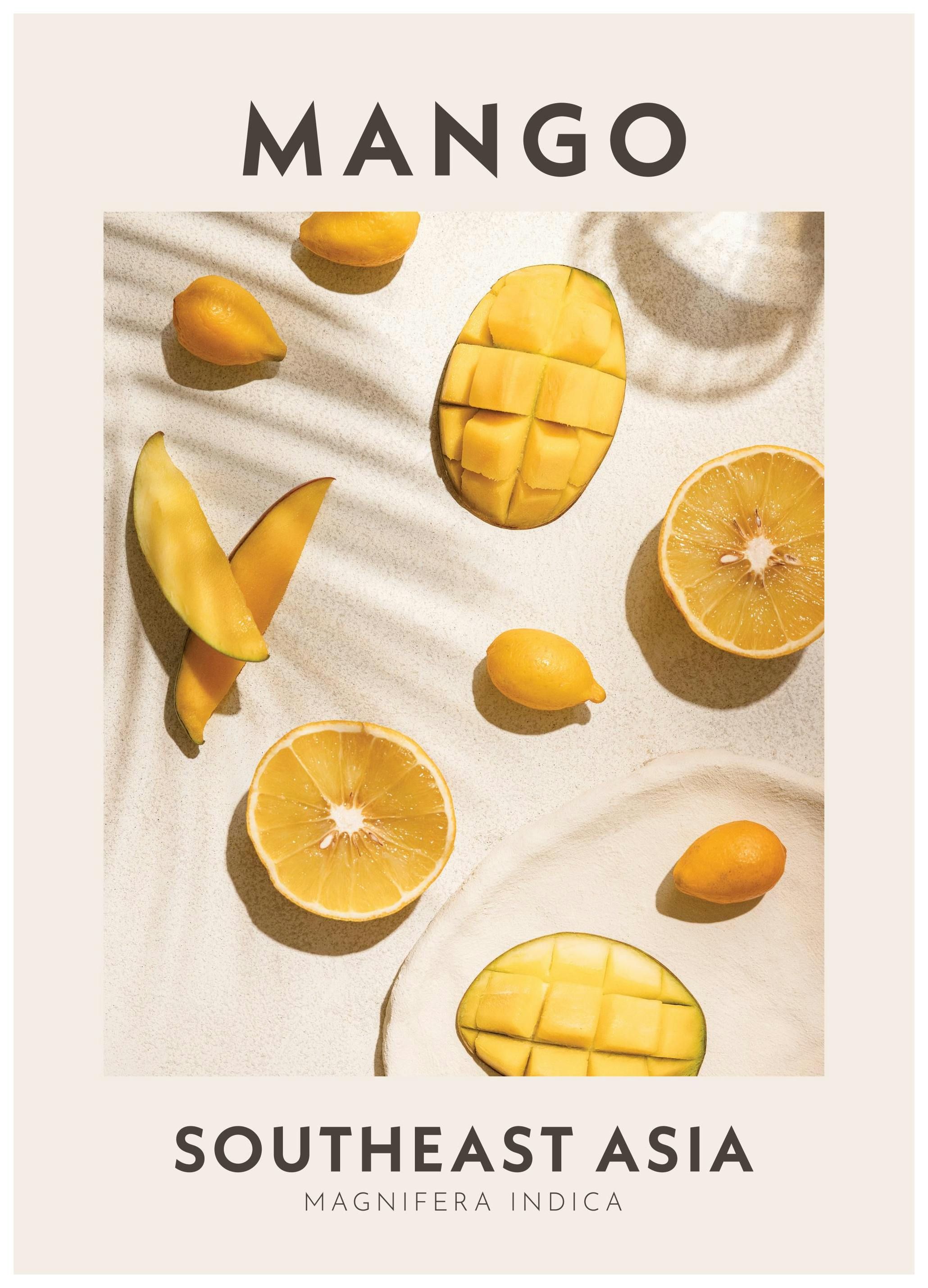 Mango Poster (50x70 cm) -  Fotografien