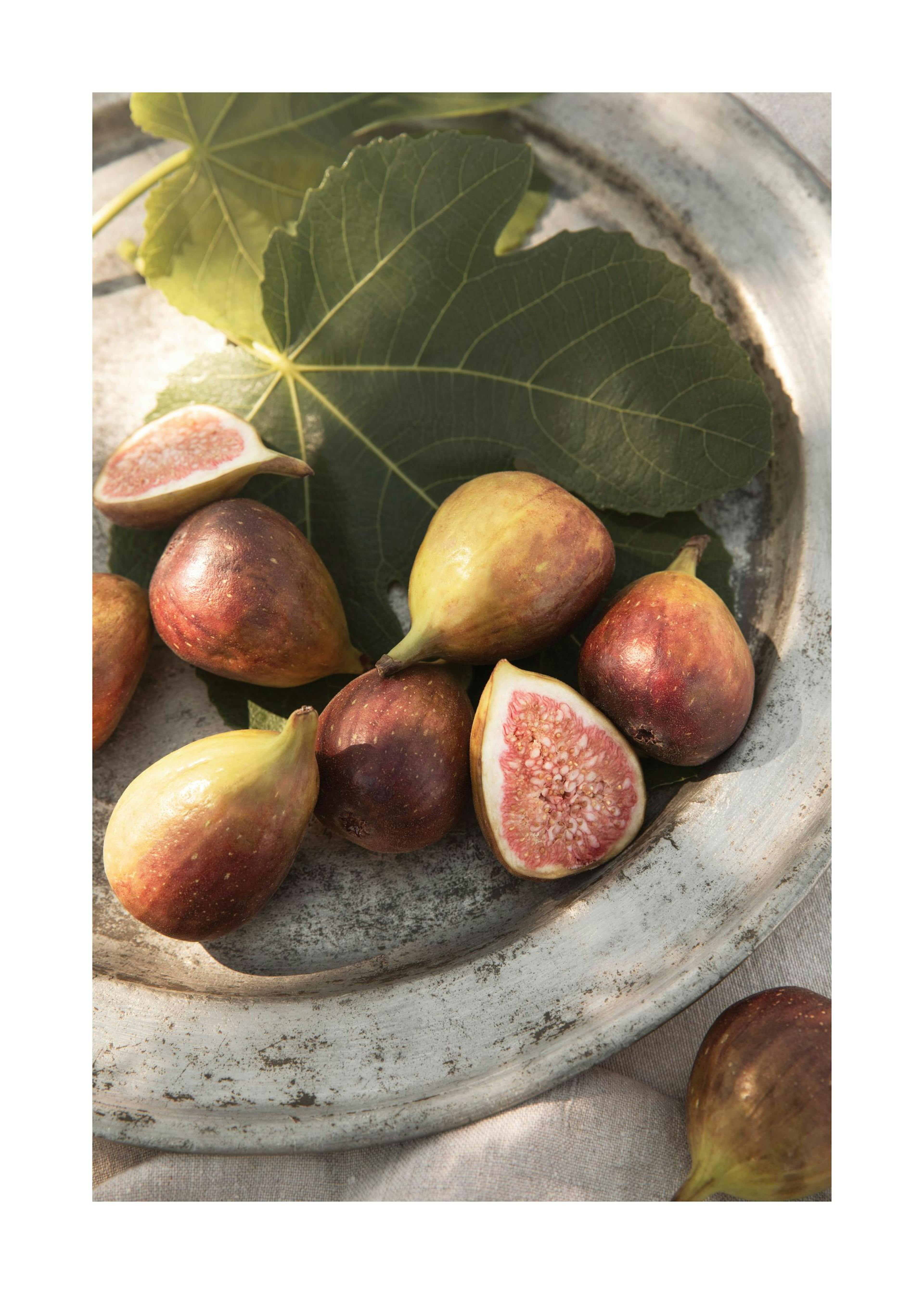 Sun-Ripened Figs Juliste 0