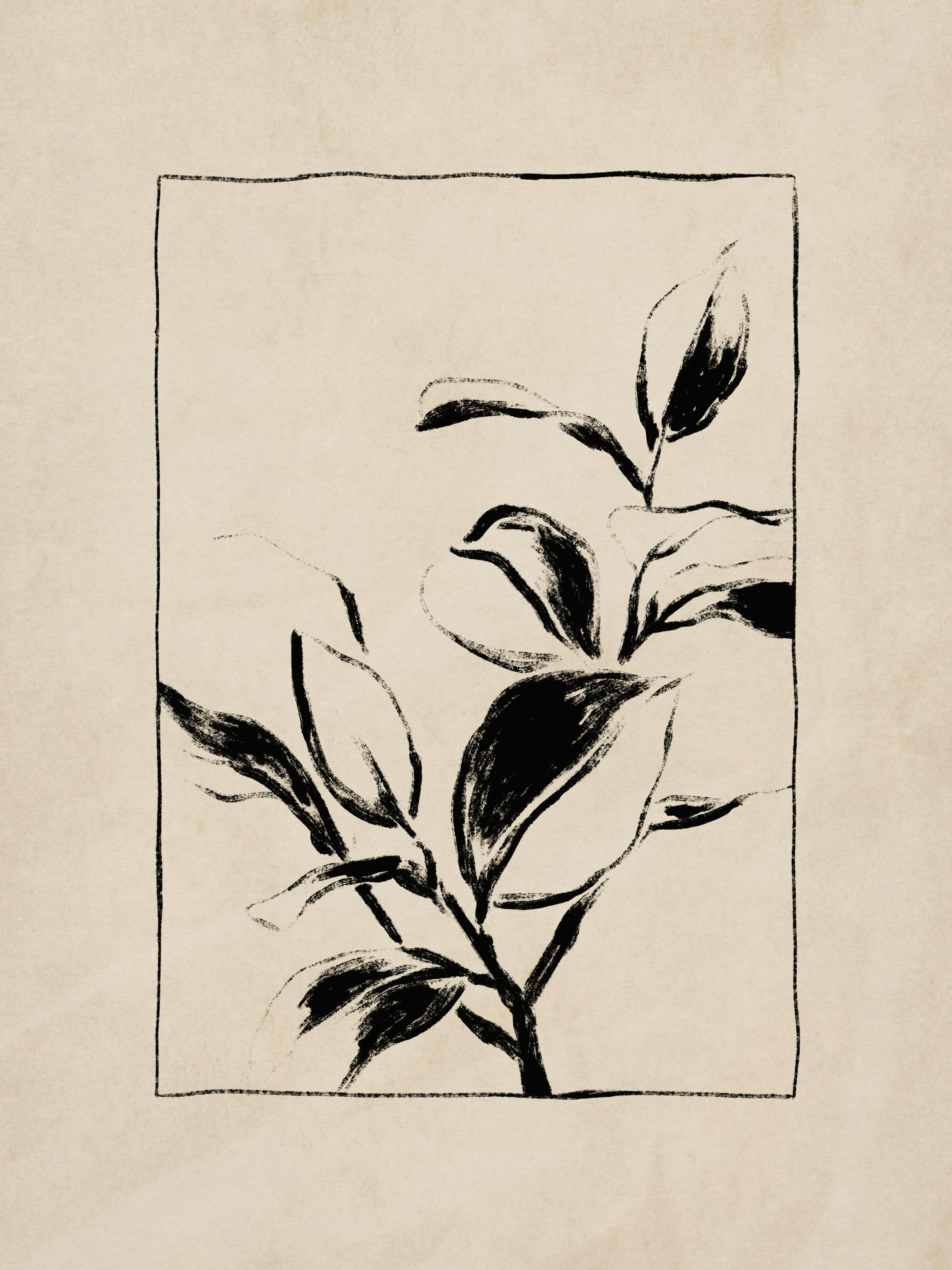 Botany Poster 0