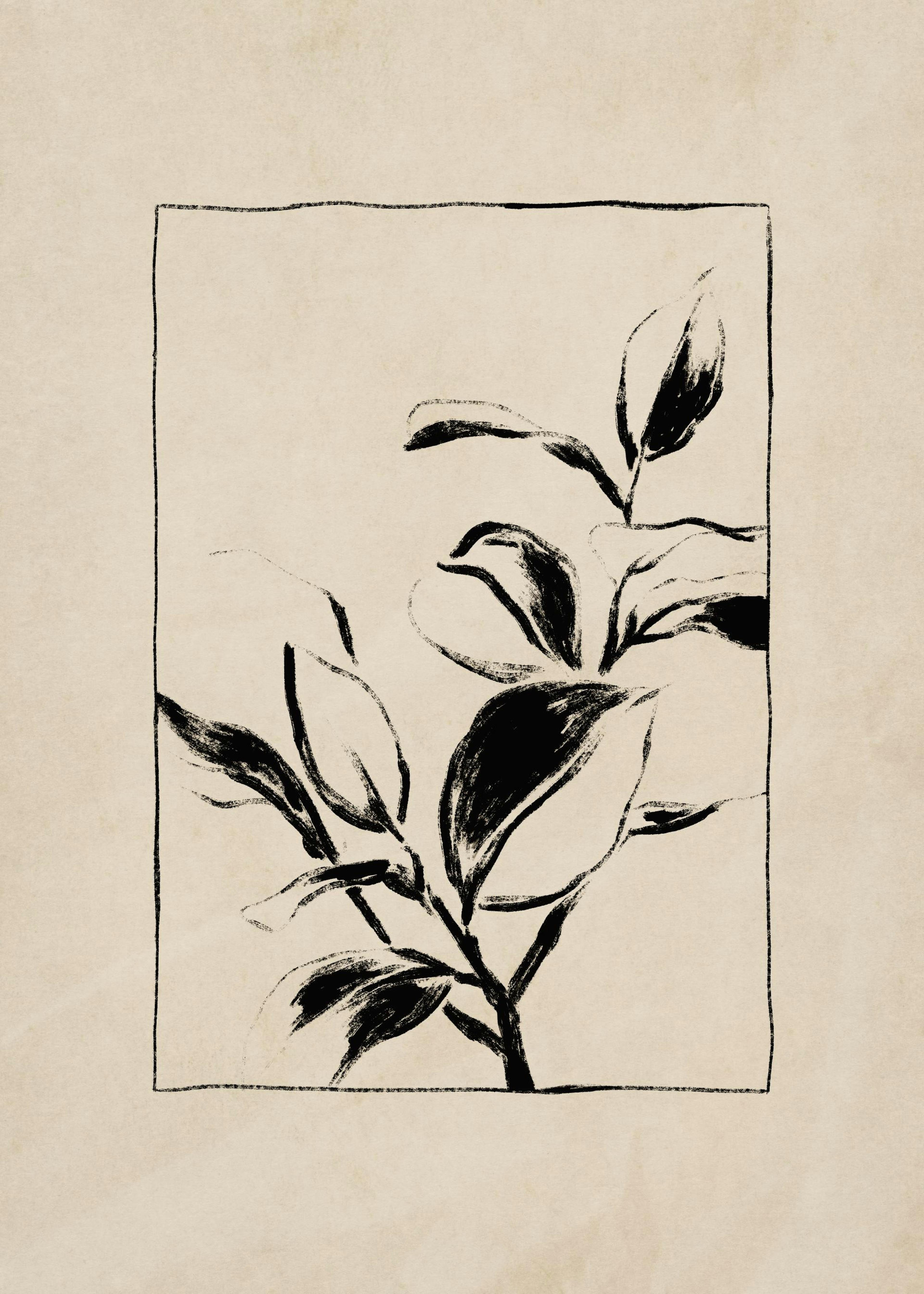 Botany Affiche 0