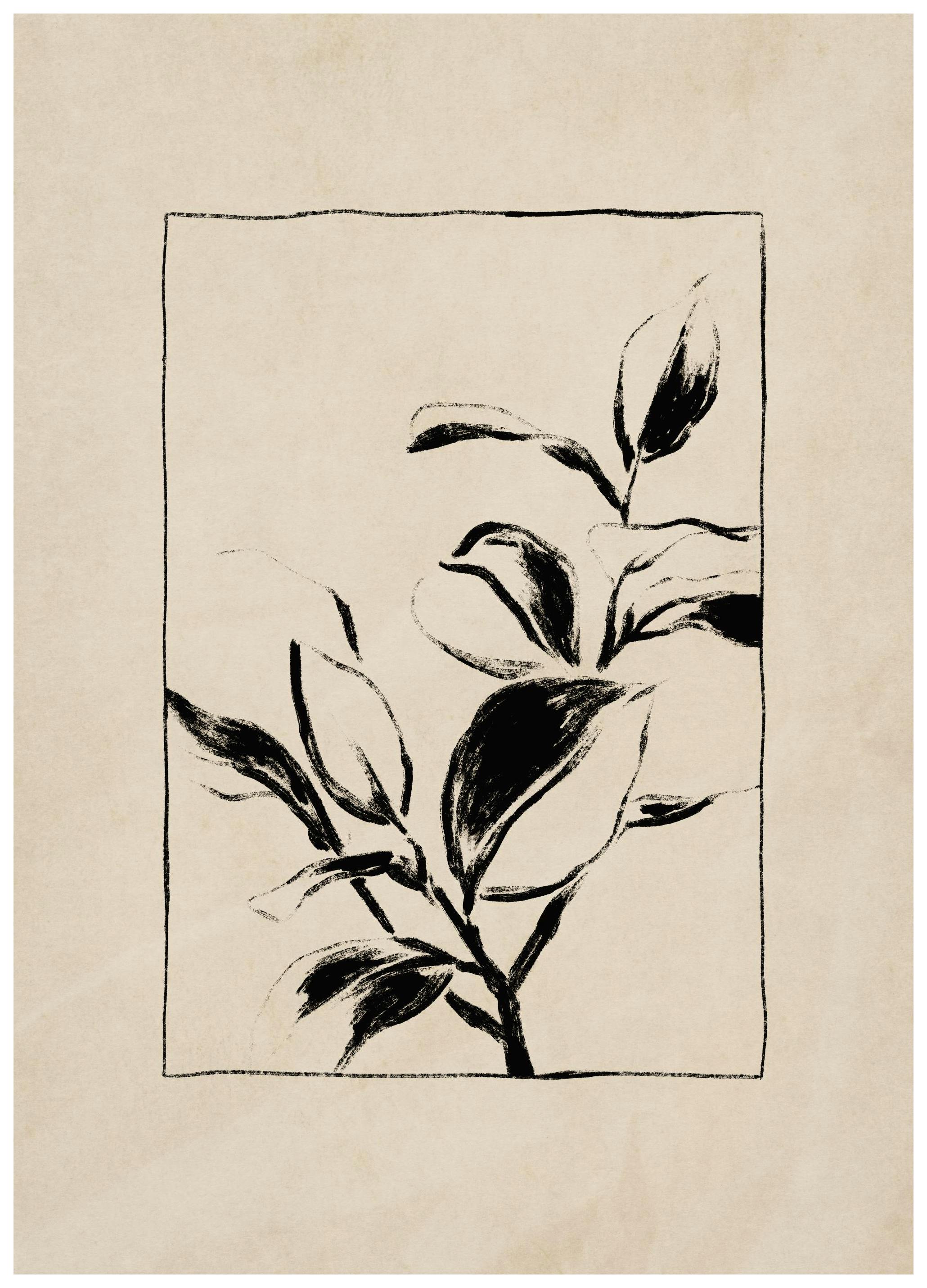 Botany Poster (30x40 cm)