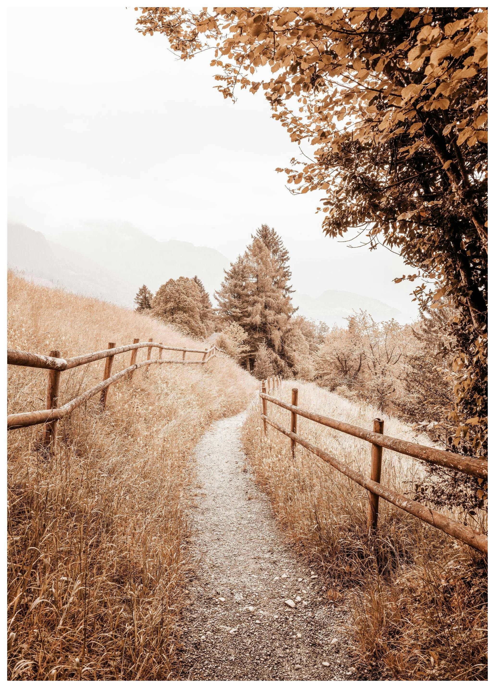 Path to Home Affiche (50x70 cm) - Photographies