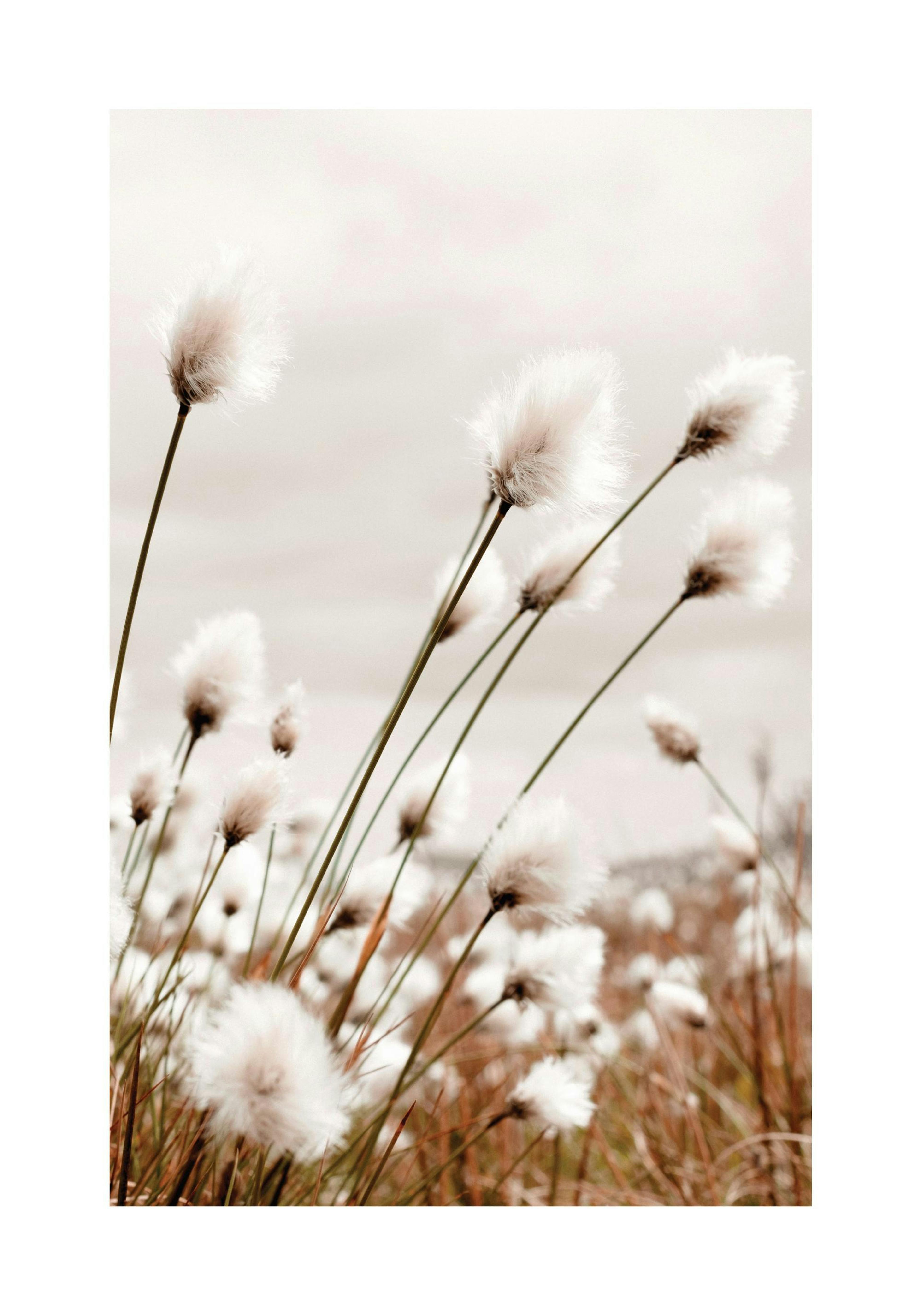 Product image: 1