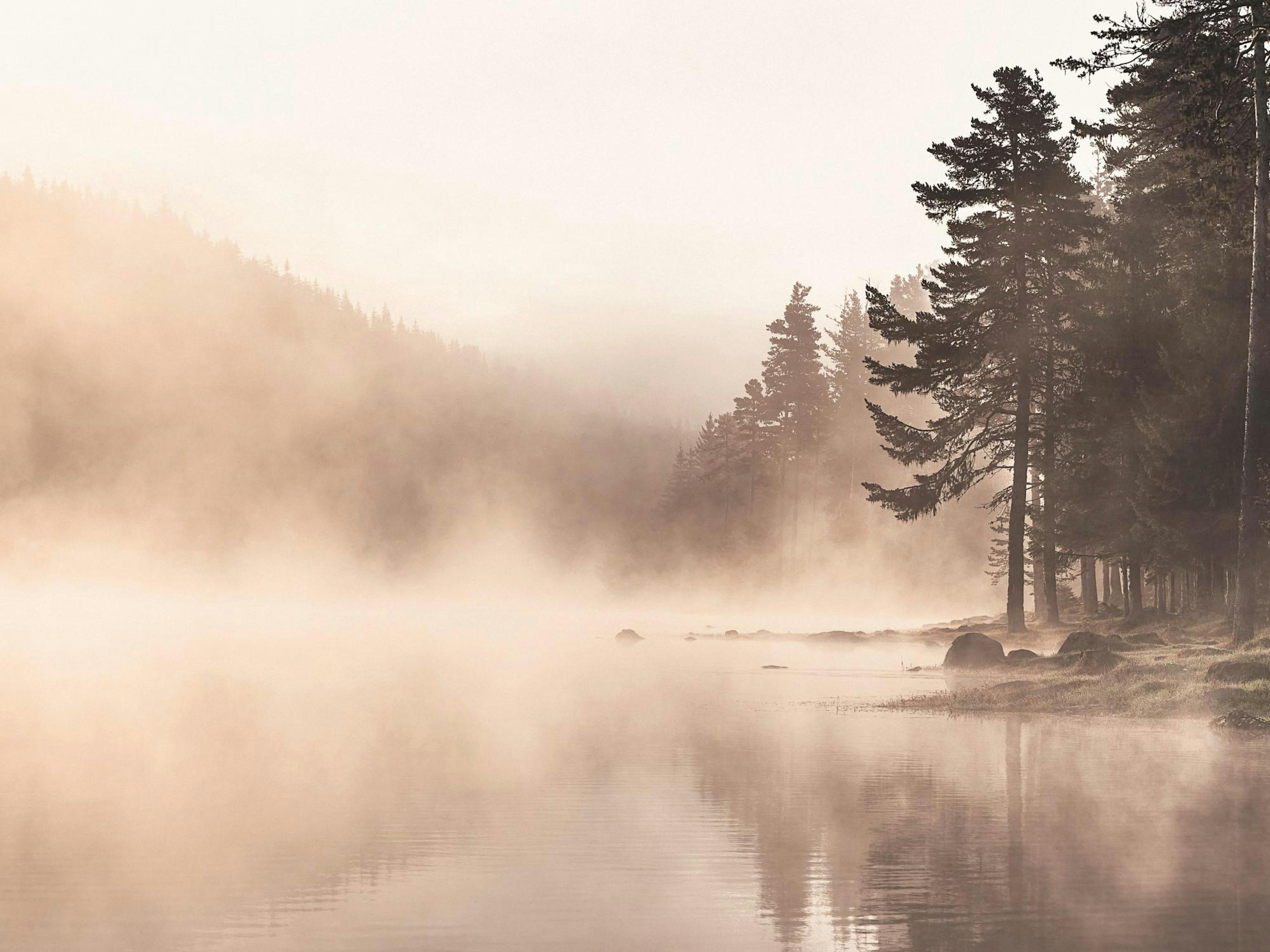 Fog Lake Poster