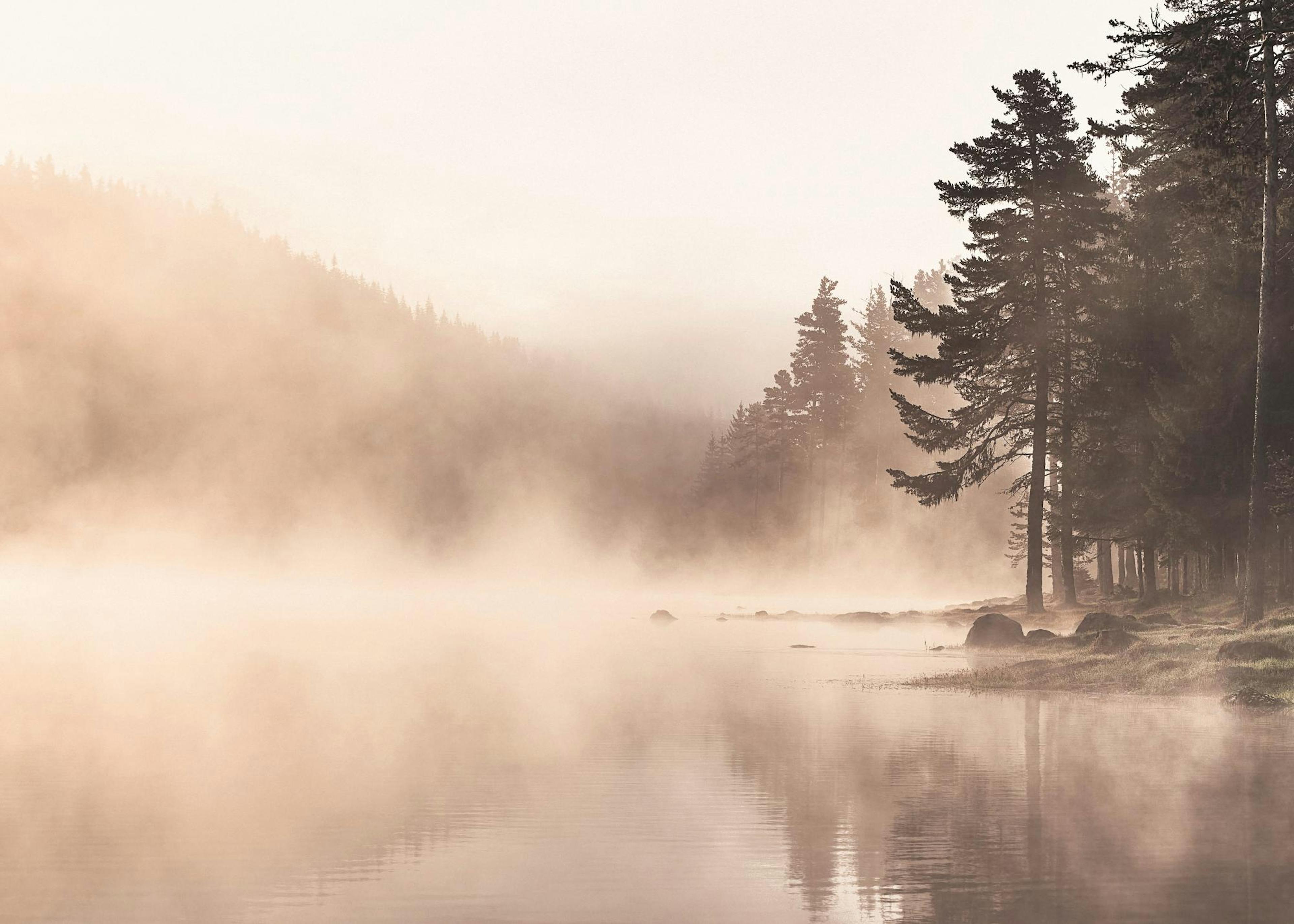 Fog Lake Poster 0