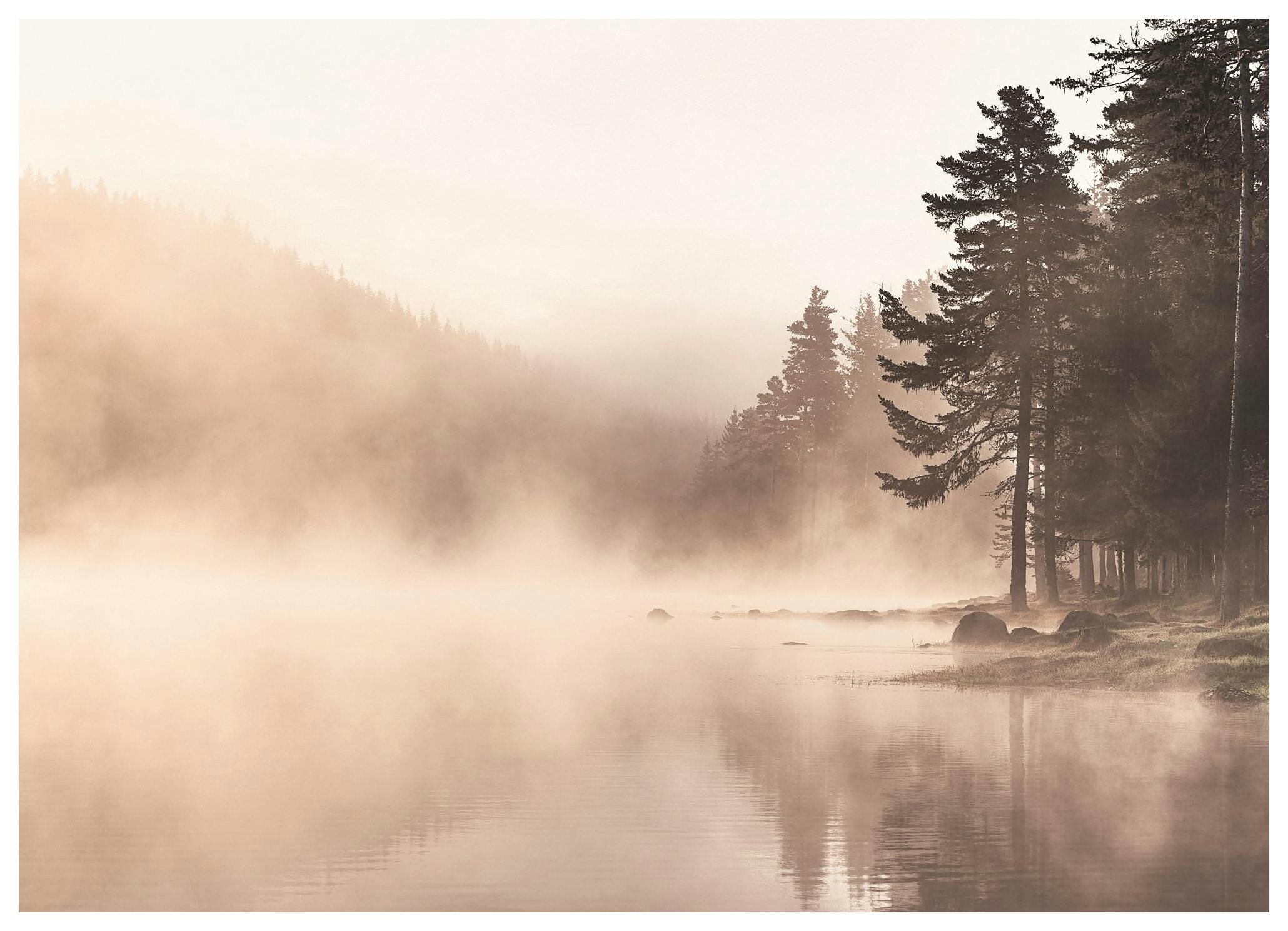Fog Lake Poster (50x70 cm)