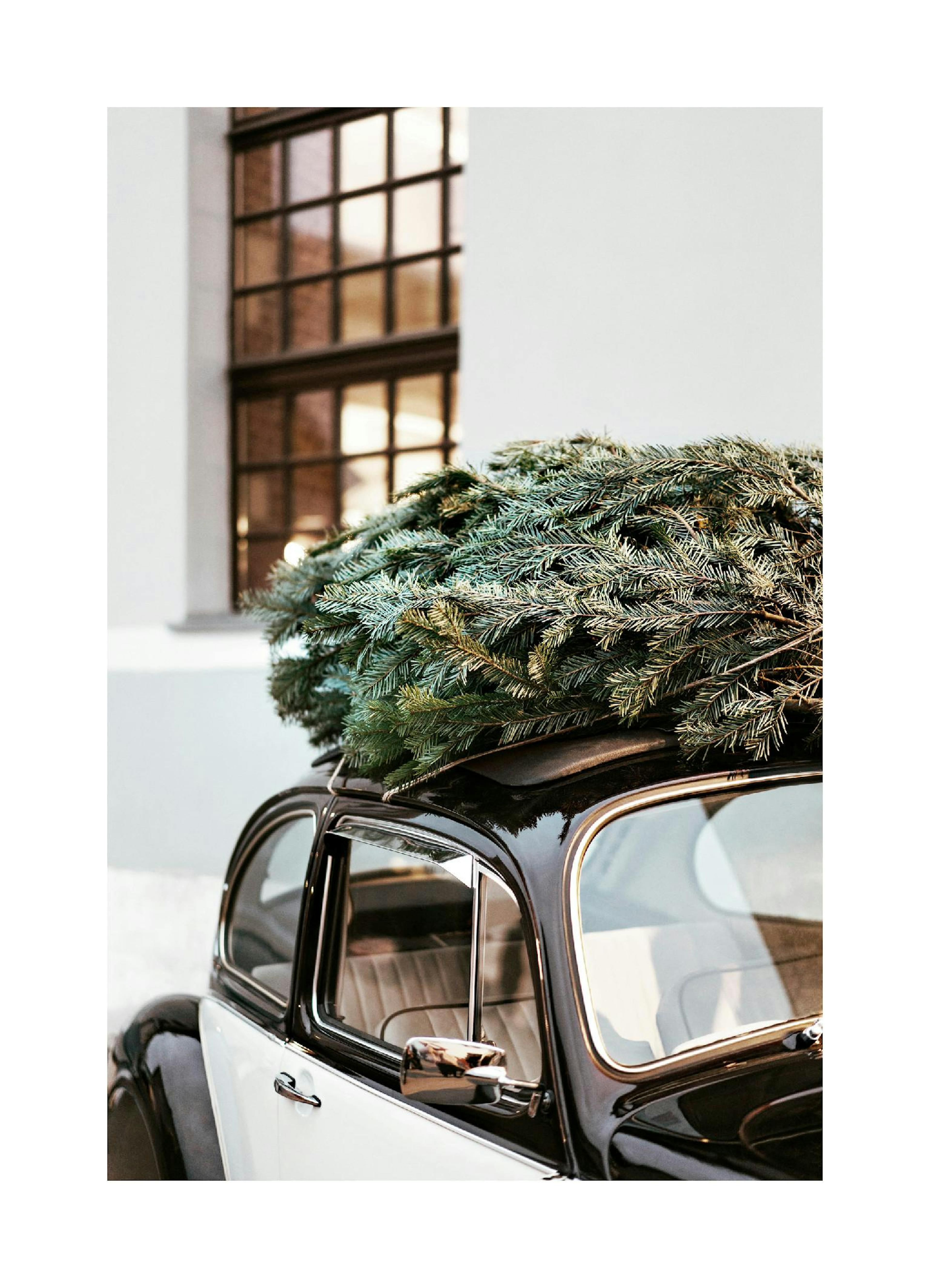 Holiday Ride Print