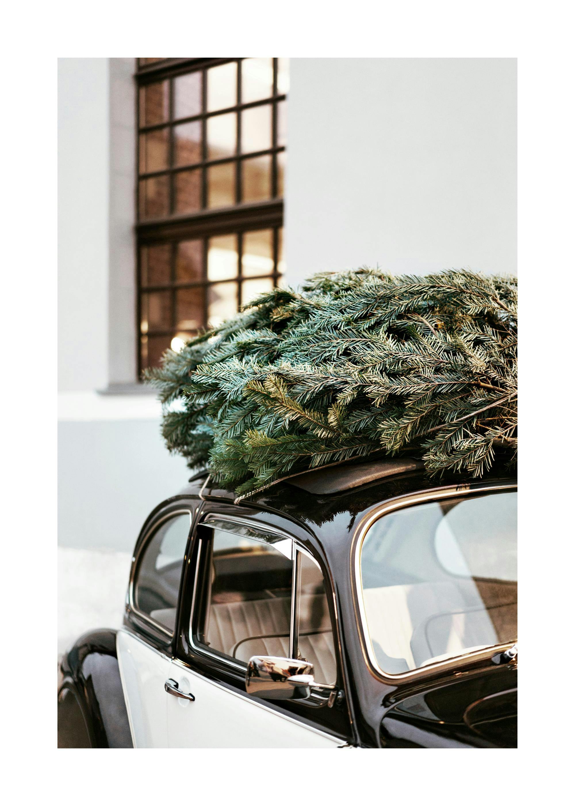Holiday Ride Print 0