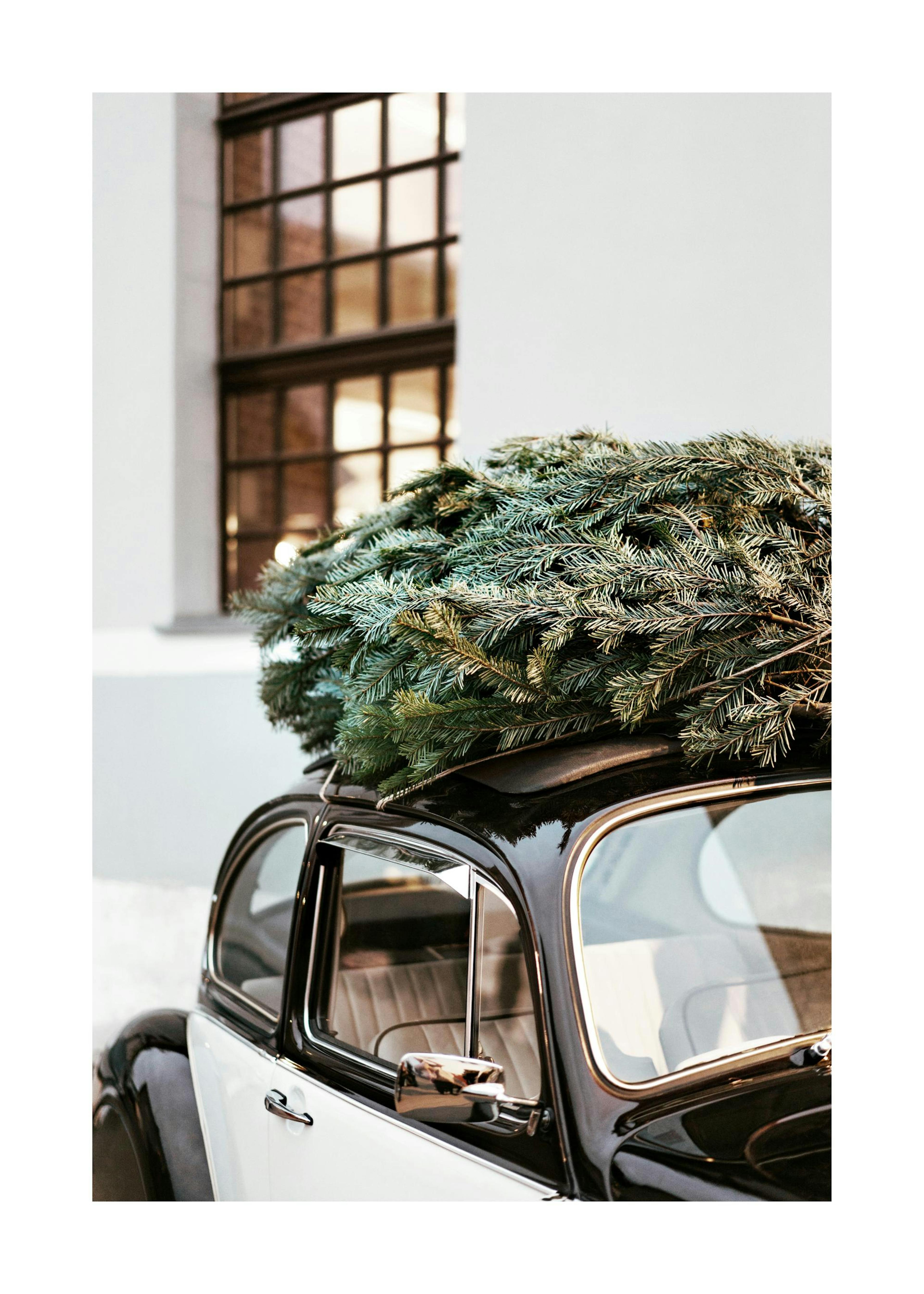Holiday Ride Poster 0