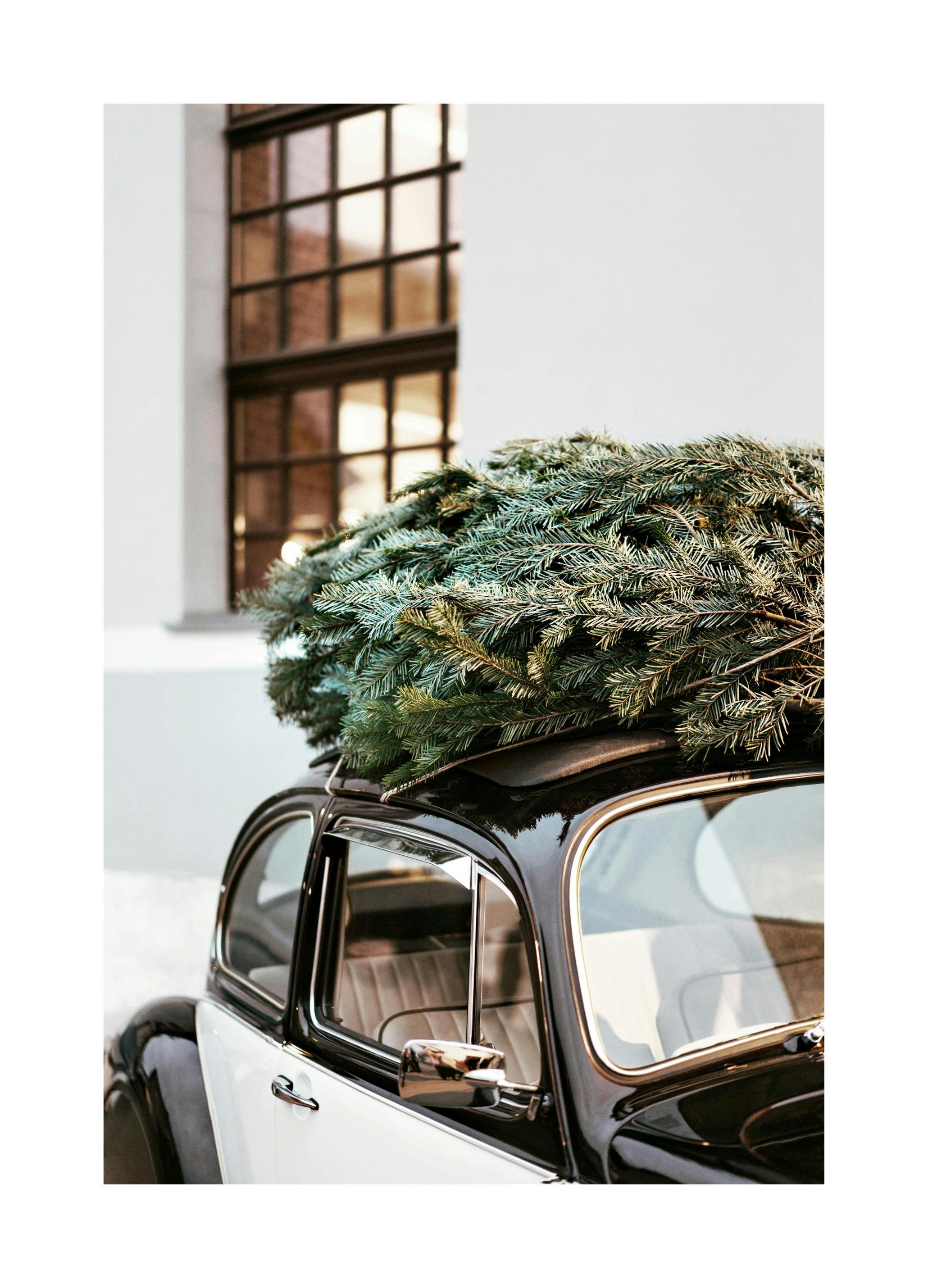 Holiday Ride Poster (70x100 cm)