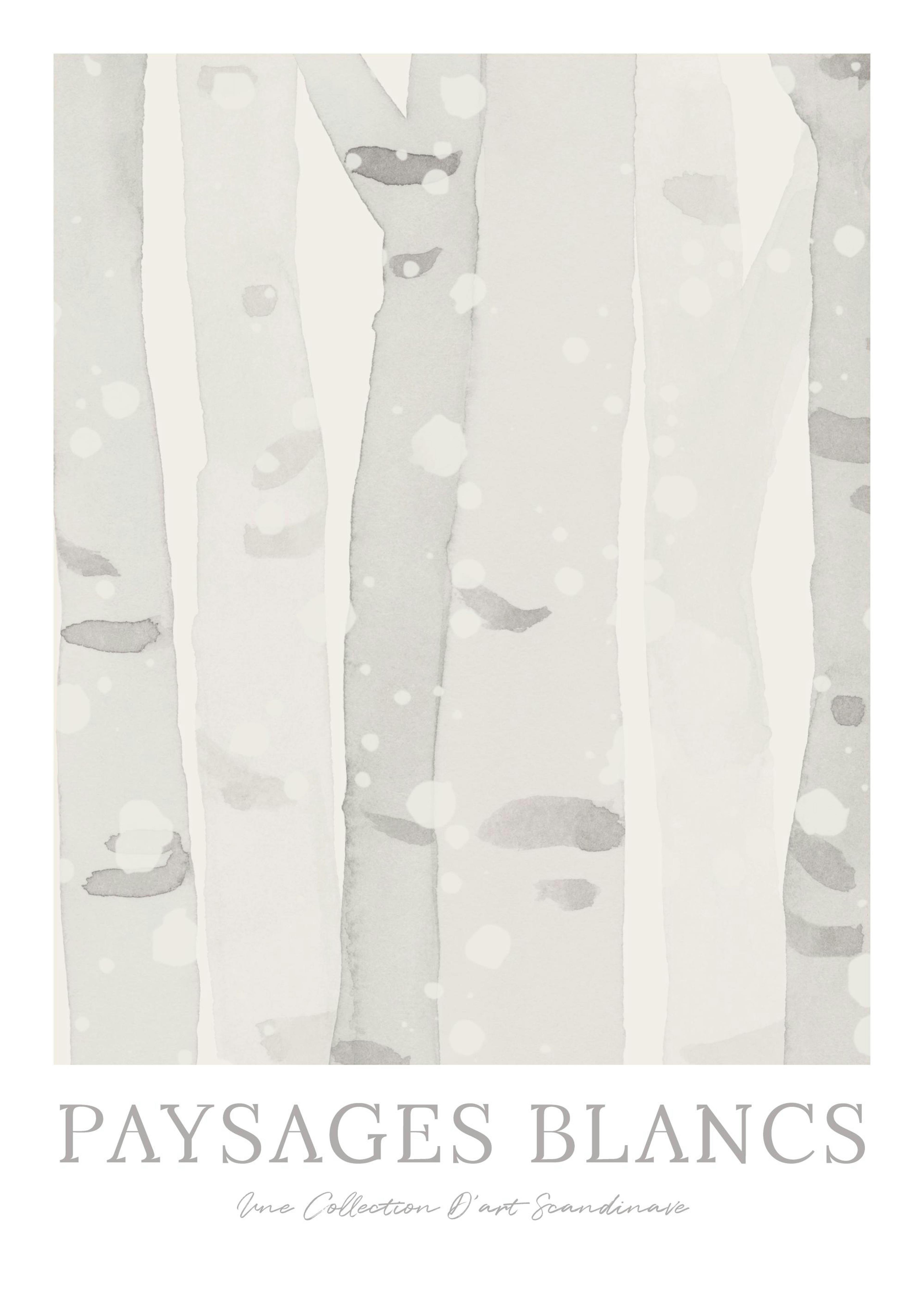 Birch Forest Print 0