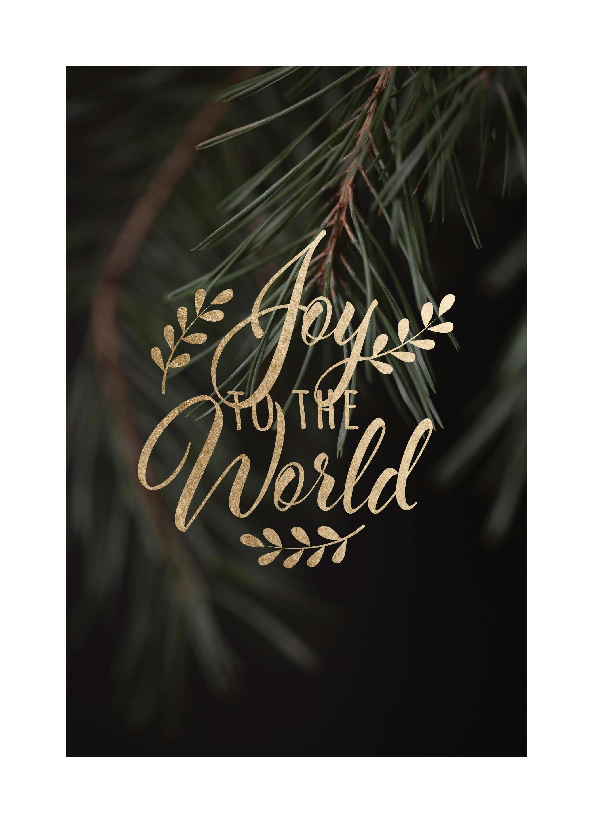 Joy to the World Poster (50x70 cm) - Posters met tekst