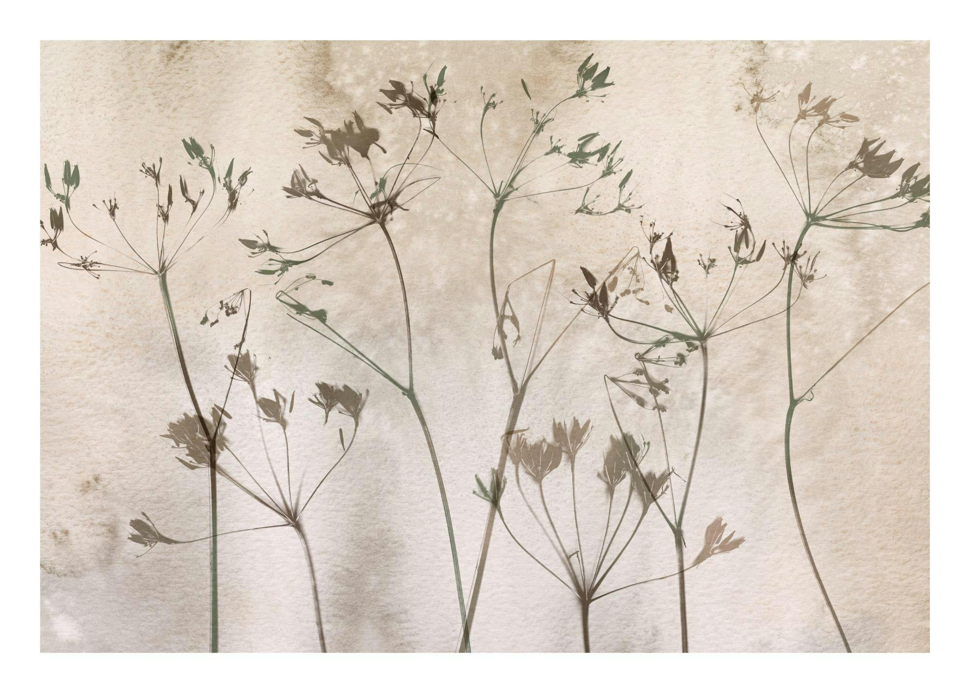 Dried Flowers Art No1 Poster 0