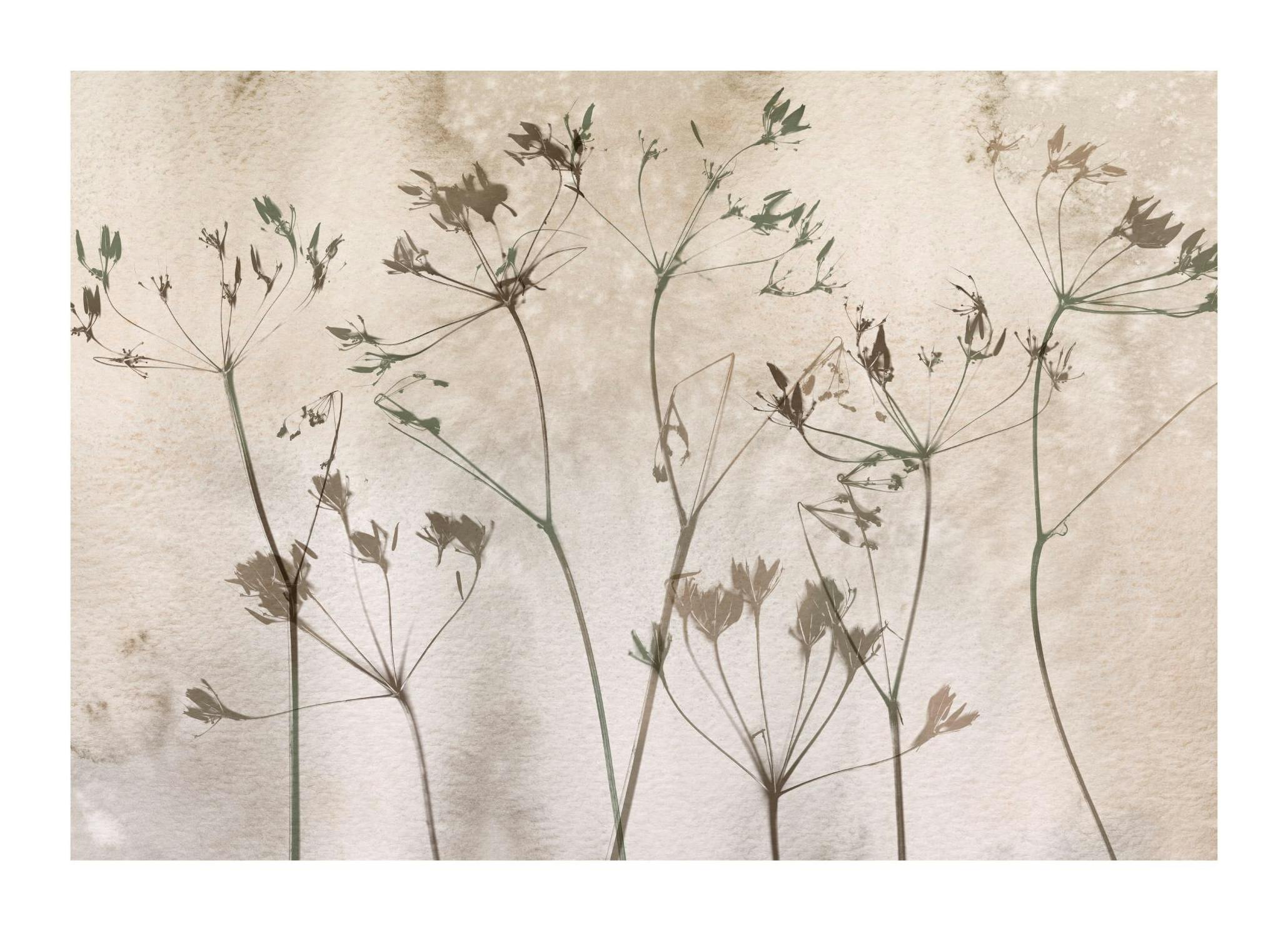 Dried Flowers Art No1 Print (21x30 cm)