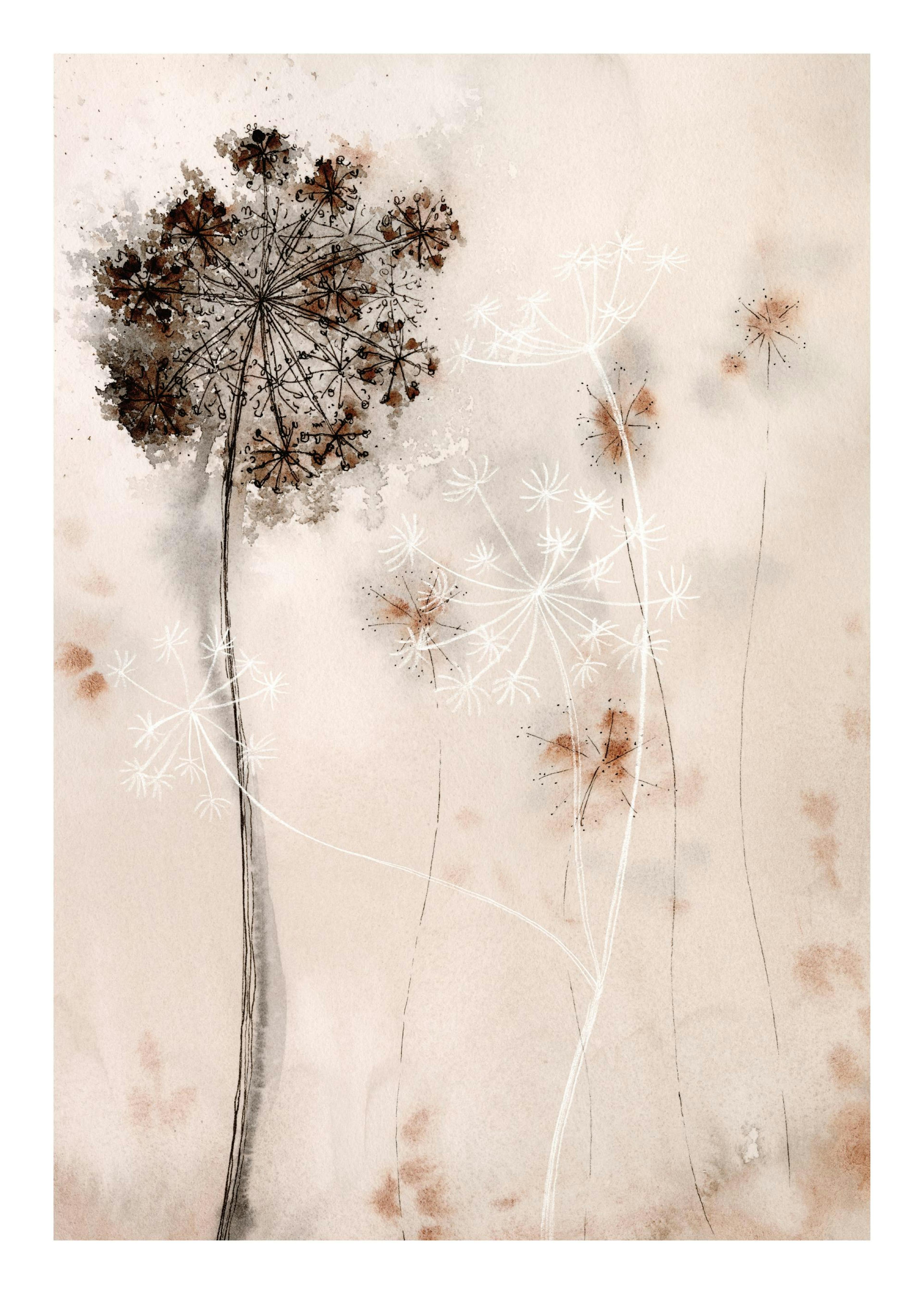 Dried Flowers Art No2 Print 0