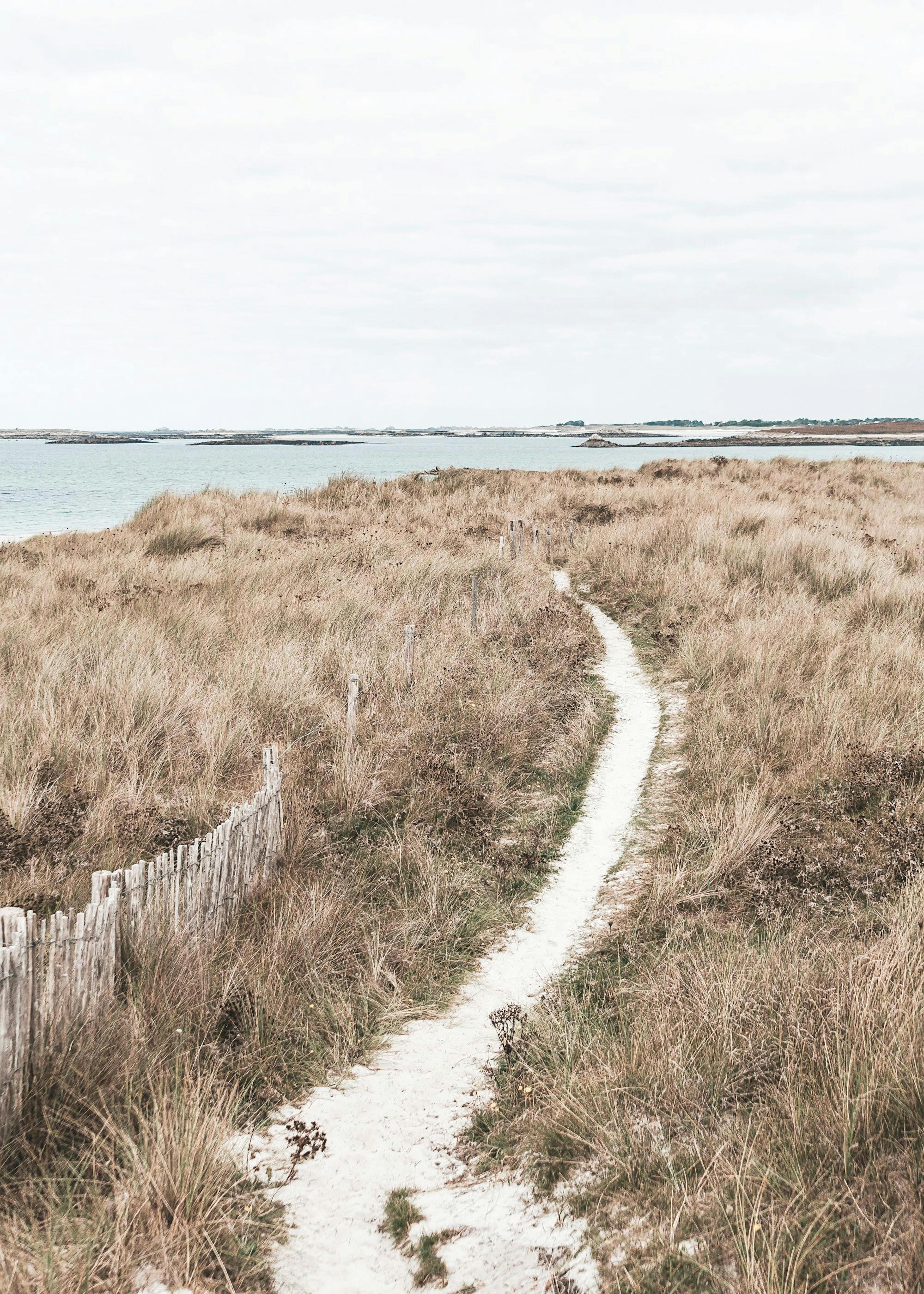 Pathway to the Sea Print 0