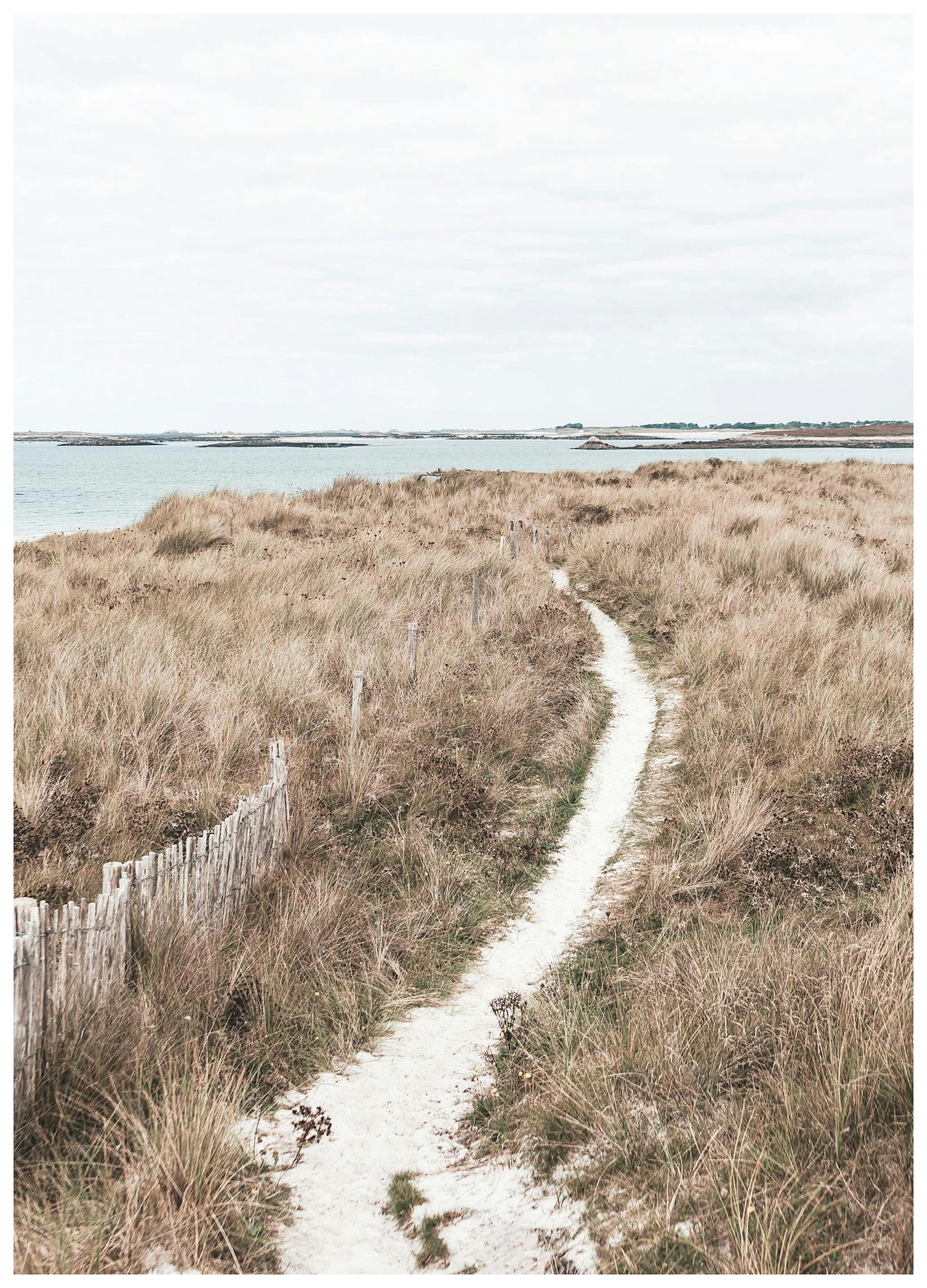 Prints - Pathway to the Sea Print (21x30 cm) - Landscape prints