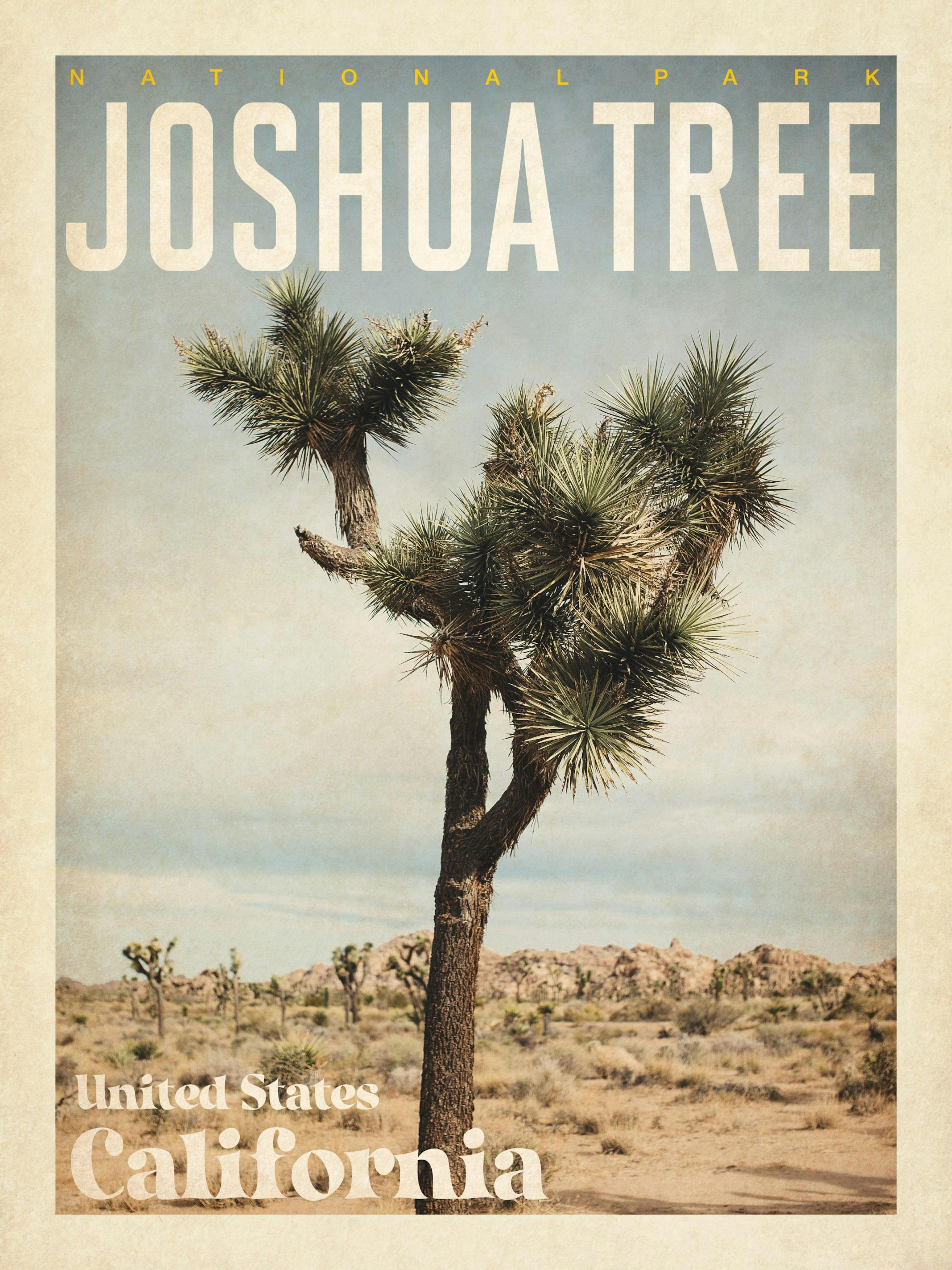 Joshua Tree Poster