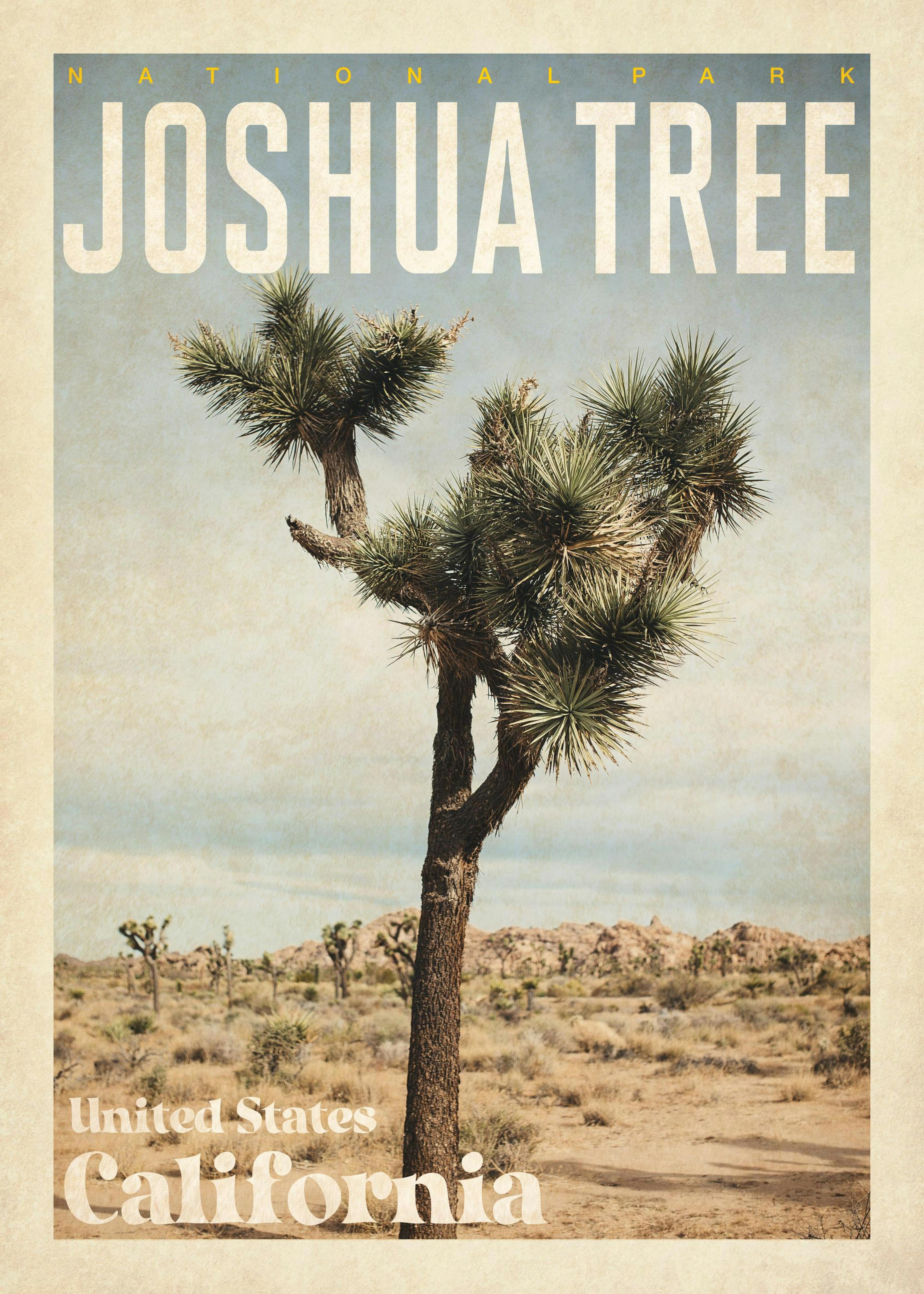 Joshua Tree Plakat 0