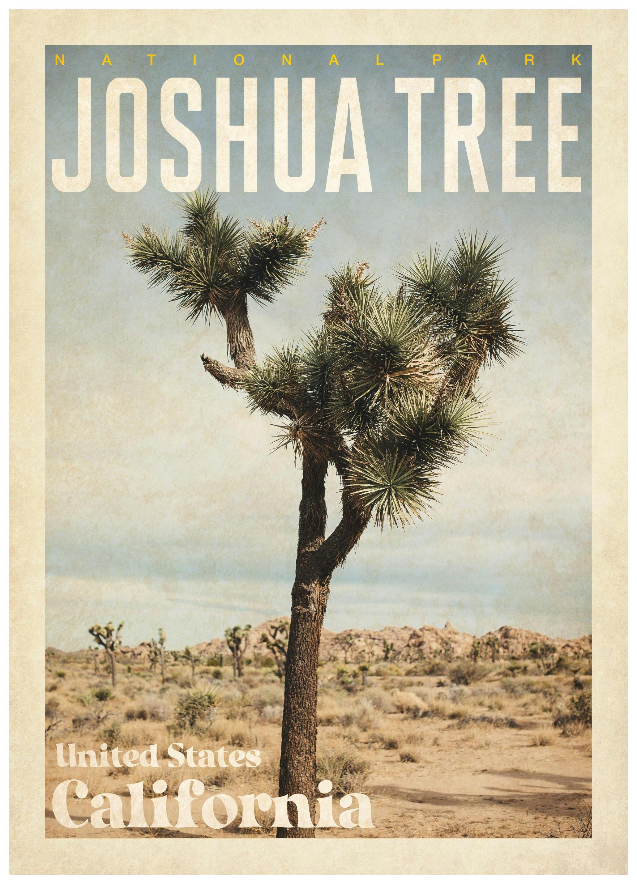 Prints - Joshua Tree Print (50x70 cm) - Cities