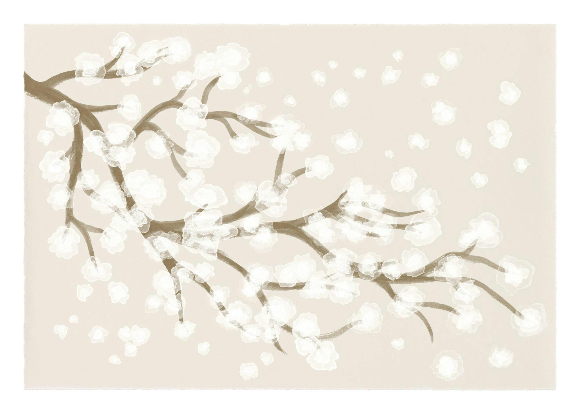 Japandi Cherry Blossom Plakat 0