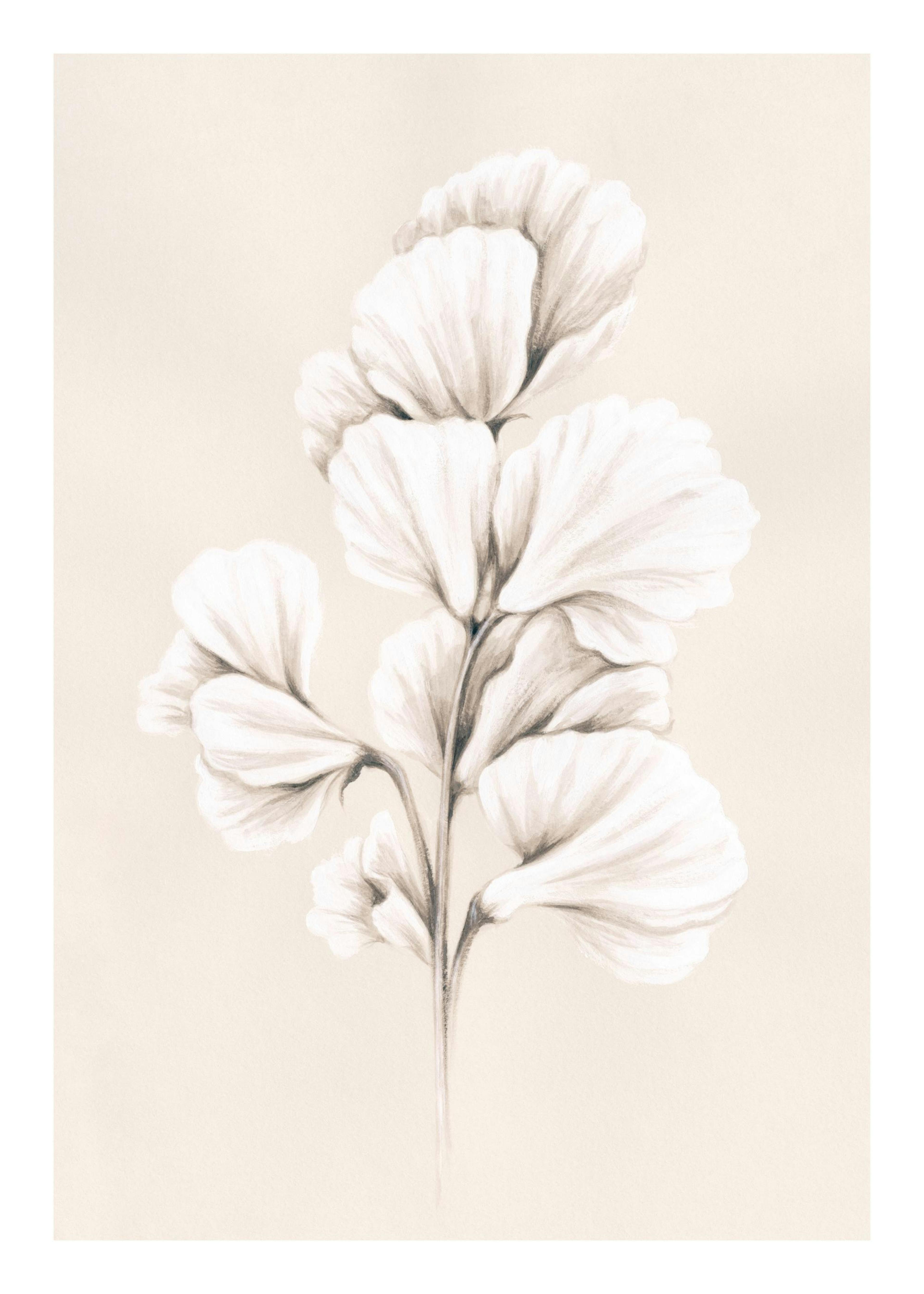 Painted Sweet Pea Print 0